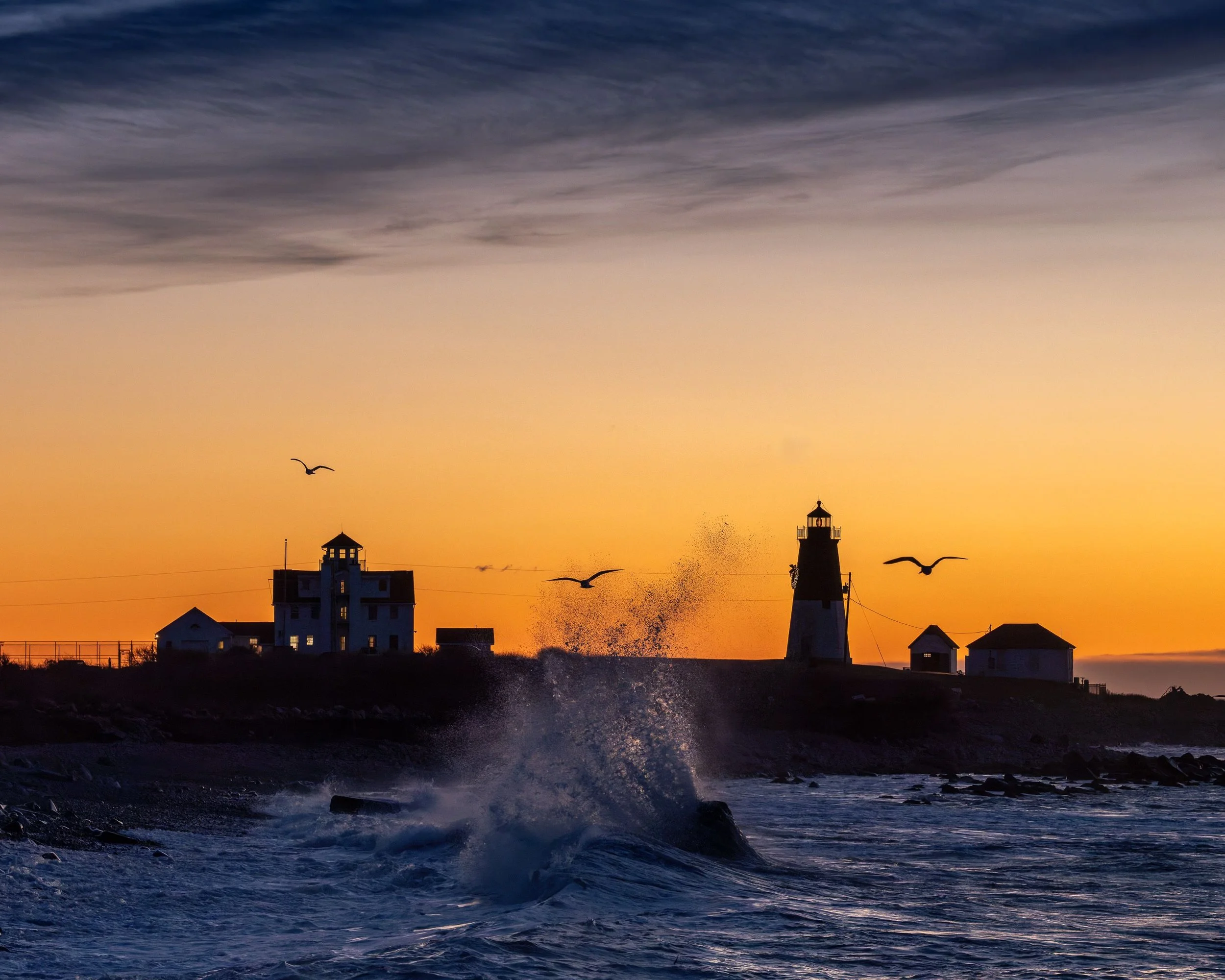 20211207  Coastal Gallery 72 3.jpg