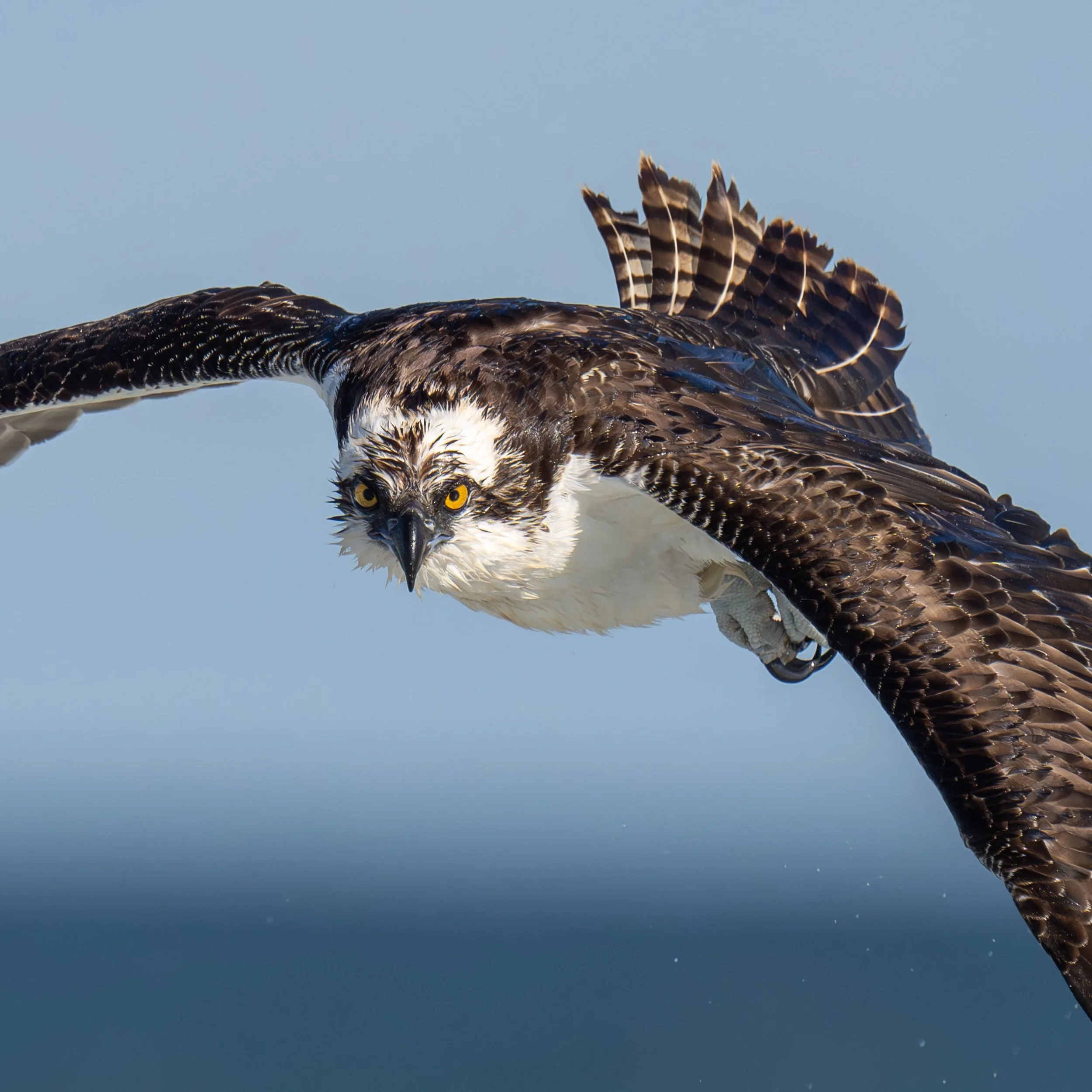 20221025  Wildlife 72 5311.jpg