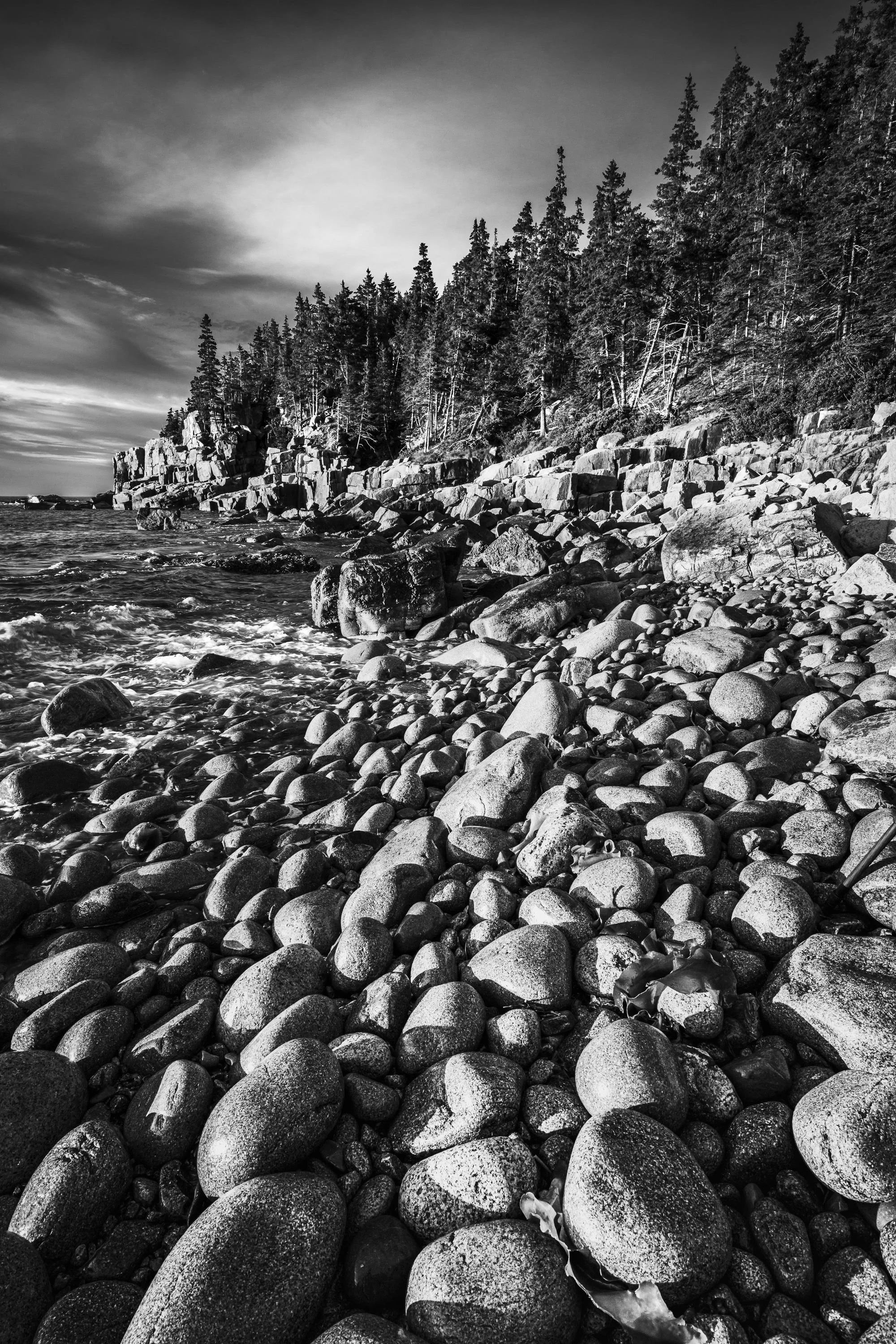 20190725  BW Gallery 72 2898.jpg