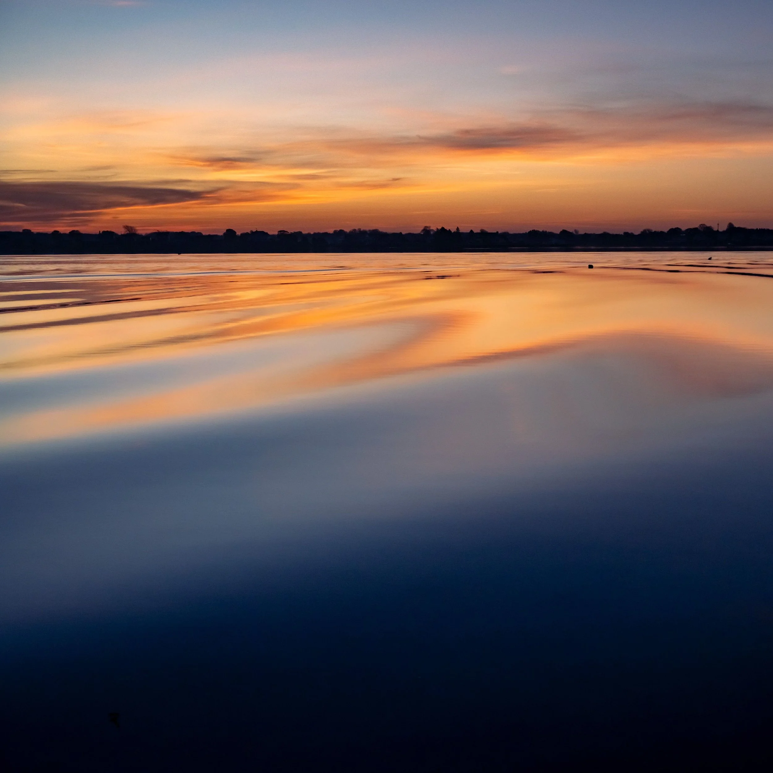 20201107  Coastal Gallery 72 5272.jpg