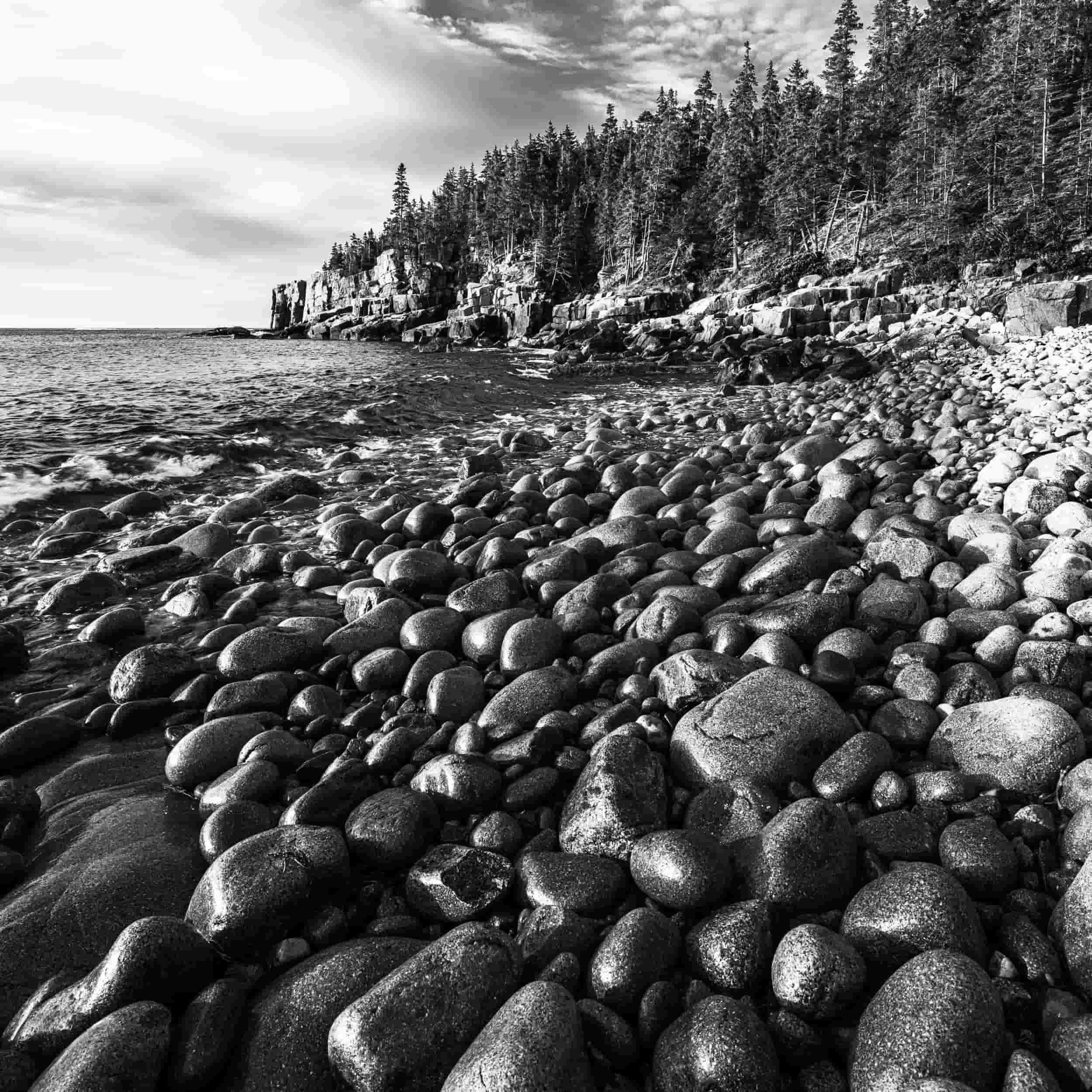 The Art of Monochrome