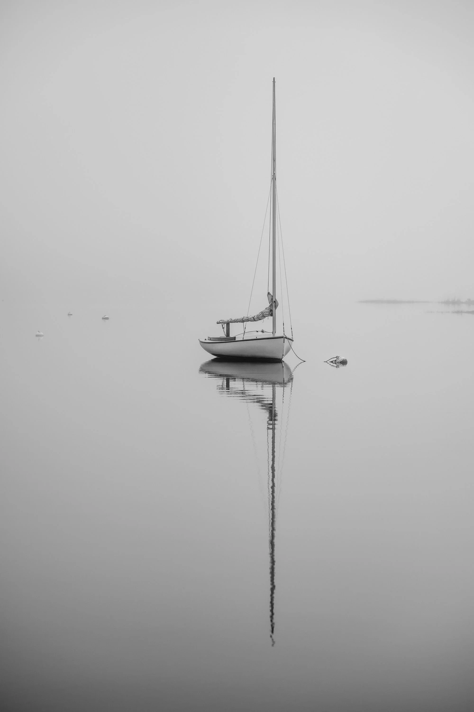 20200929  BW Gallery 72 2807.jpg