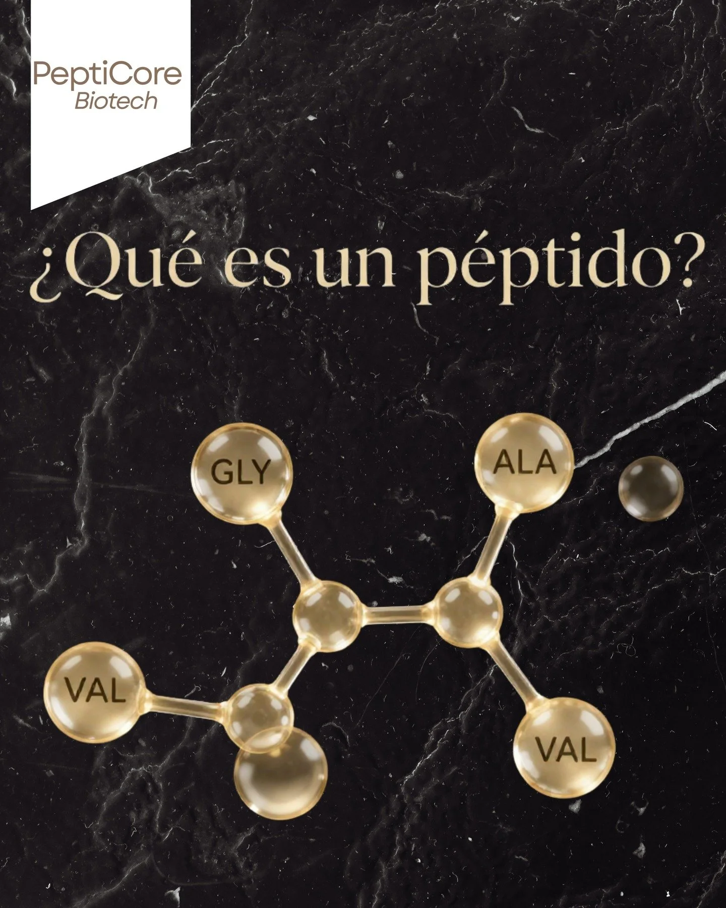 &iquest;Qu&eacute; es un p&eacute;ptido?

🧬 Todo comenz&oacute; con una cadena de amino&aacute;cidos.

Un p&eacute;ptido es una mol&eacute;cula formada por amino&aacute;cidos unidos entre s&iacute; &mdash; m&aacute;s peque&ntilde;a que una prote&iac