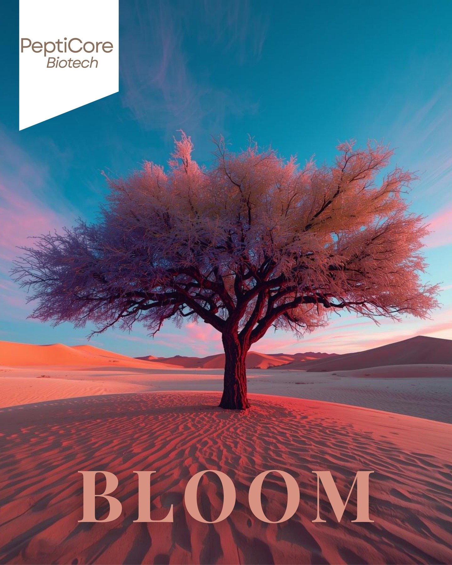 Cualquiera puede venderte un frasco en internet. Nosotros hacemos algo diferente: evaluamos tu historial cl&iacute;nico, revisamos tus laboratorios y dise&ntilde;amos el protocolo exacto que tu biolog&iacute;a necesita.

Porque los p&eacute;ptidos no