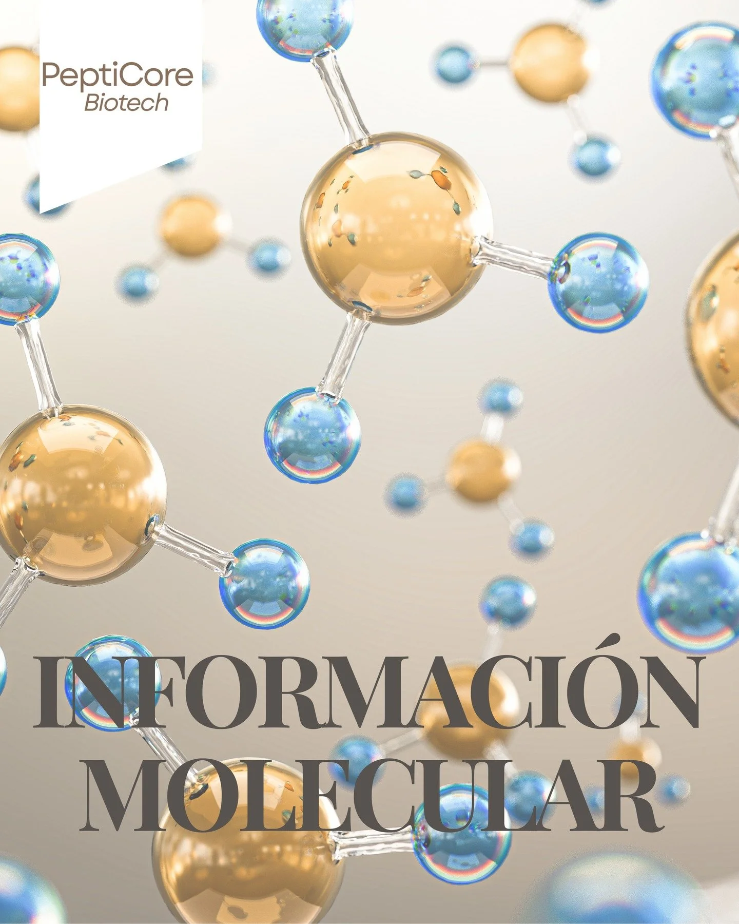 Los p&eacute;ptidos son peque&ntilde;as cadenas de amino&aacute;cidos que act&uacute;an como se&ntilde;ales biol&oacute;gicas dentro del organismo, regulando procesos fundamentales como el metabolismo, la regeneraci&oacute;n celular, la funci&oacute;