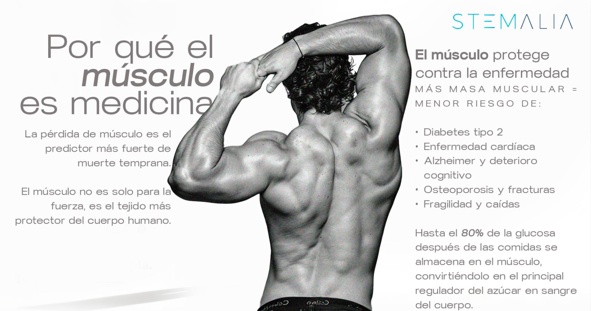 Un hombre musculoso en postura de flexión muestra sus músculos en la espalda, con texto en español que explica los beneficios del músculo para la salud.