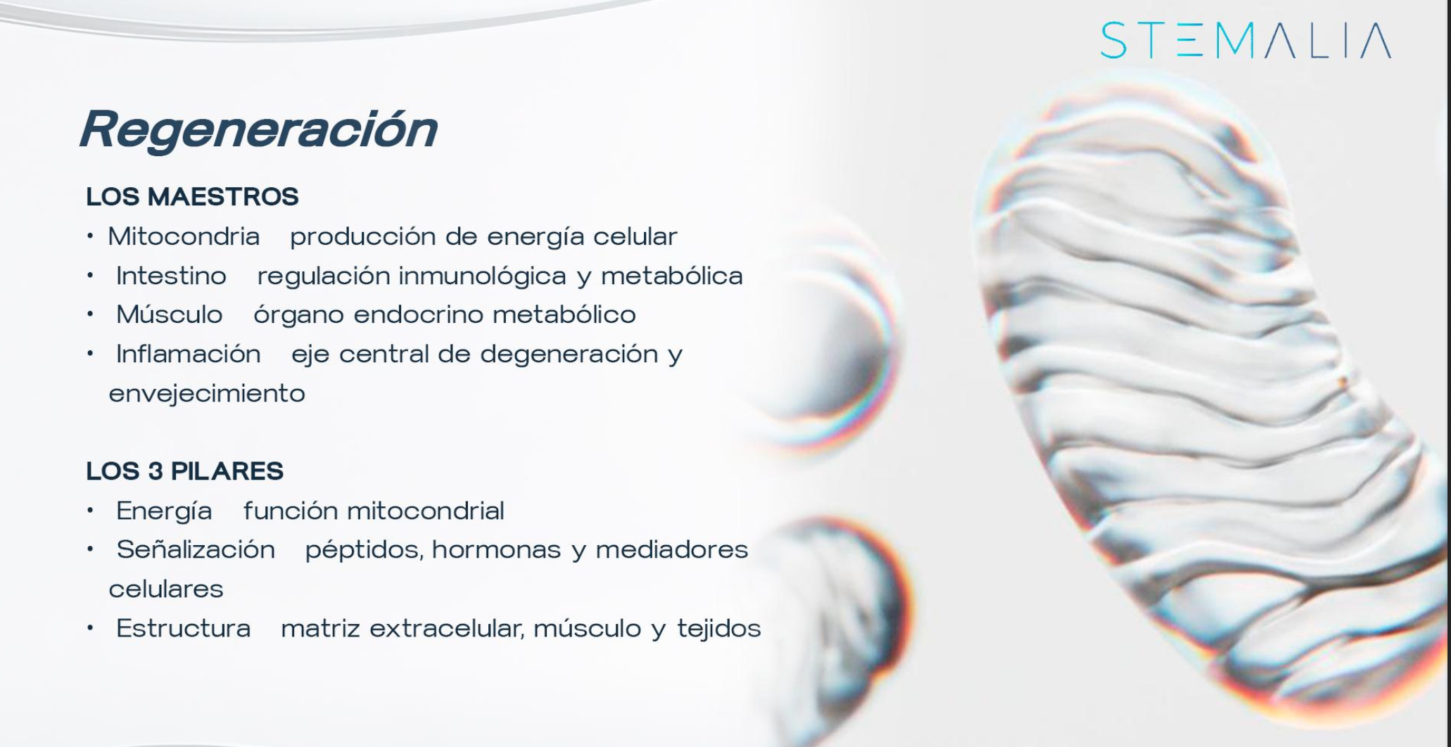 Diapositiva con texto y una imagen de estructuras celulares de color blanco y azul en el lado derecho. El texto habla sobre regeneración, maestros y pilares en un contexto de ciencia o biología.