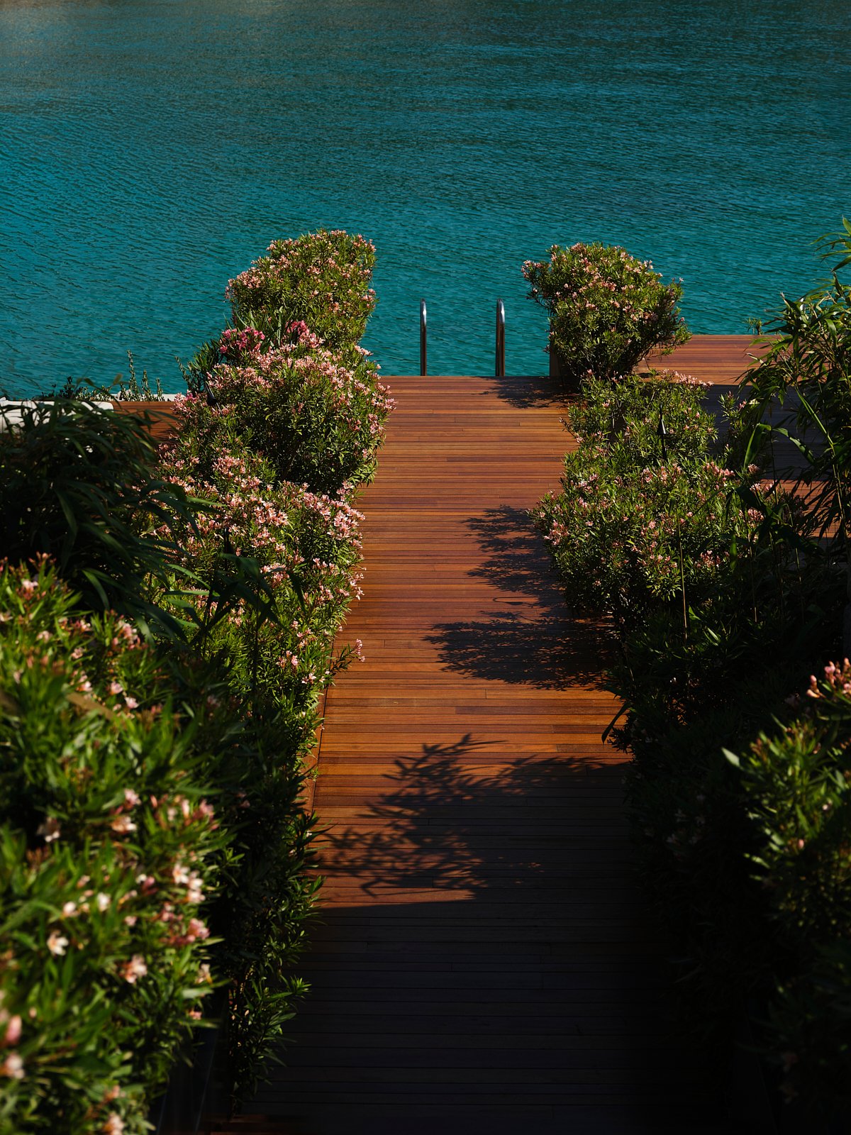 A wooden dock leading to a swimming pool, surrounded by flowering bushes with pink and white blossoms, overlooking the water.