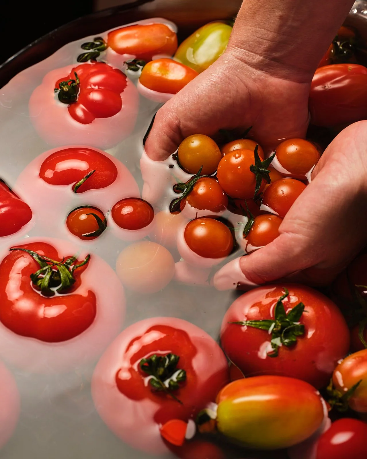 Person washing cherry tomatoes in a sink filled with water.