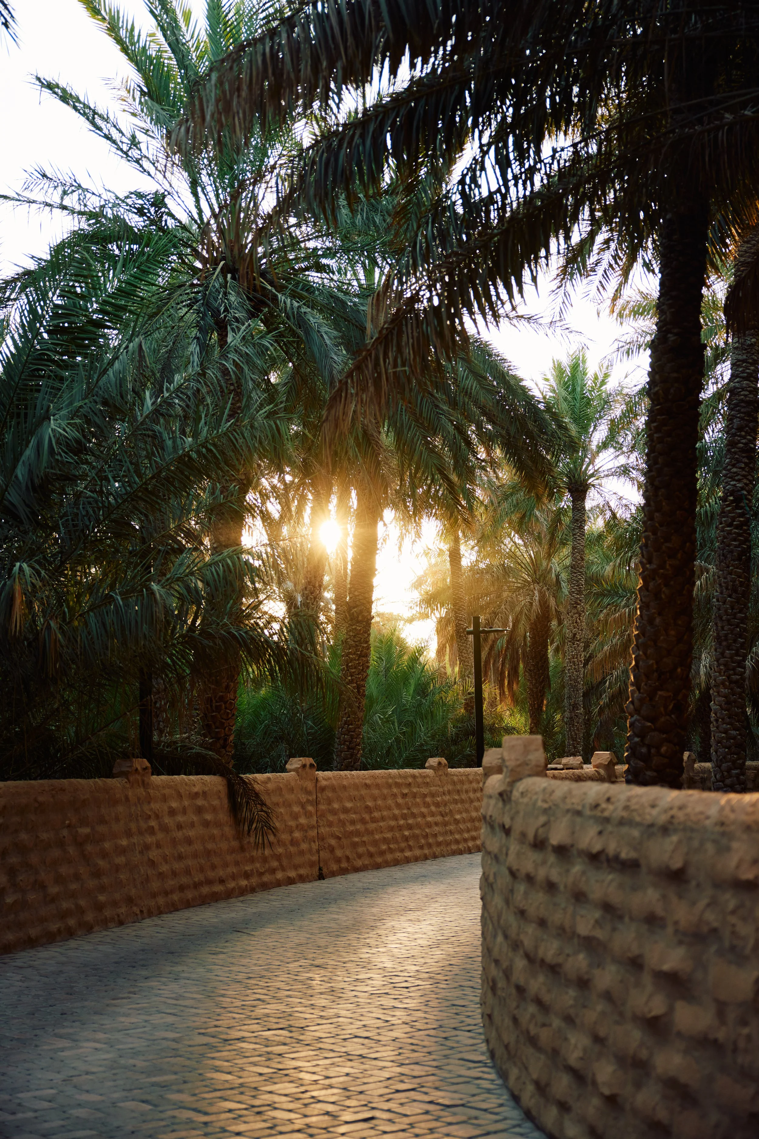 Sunset view through a pathway lined with palm trees and textured stone walls.