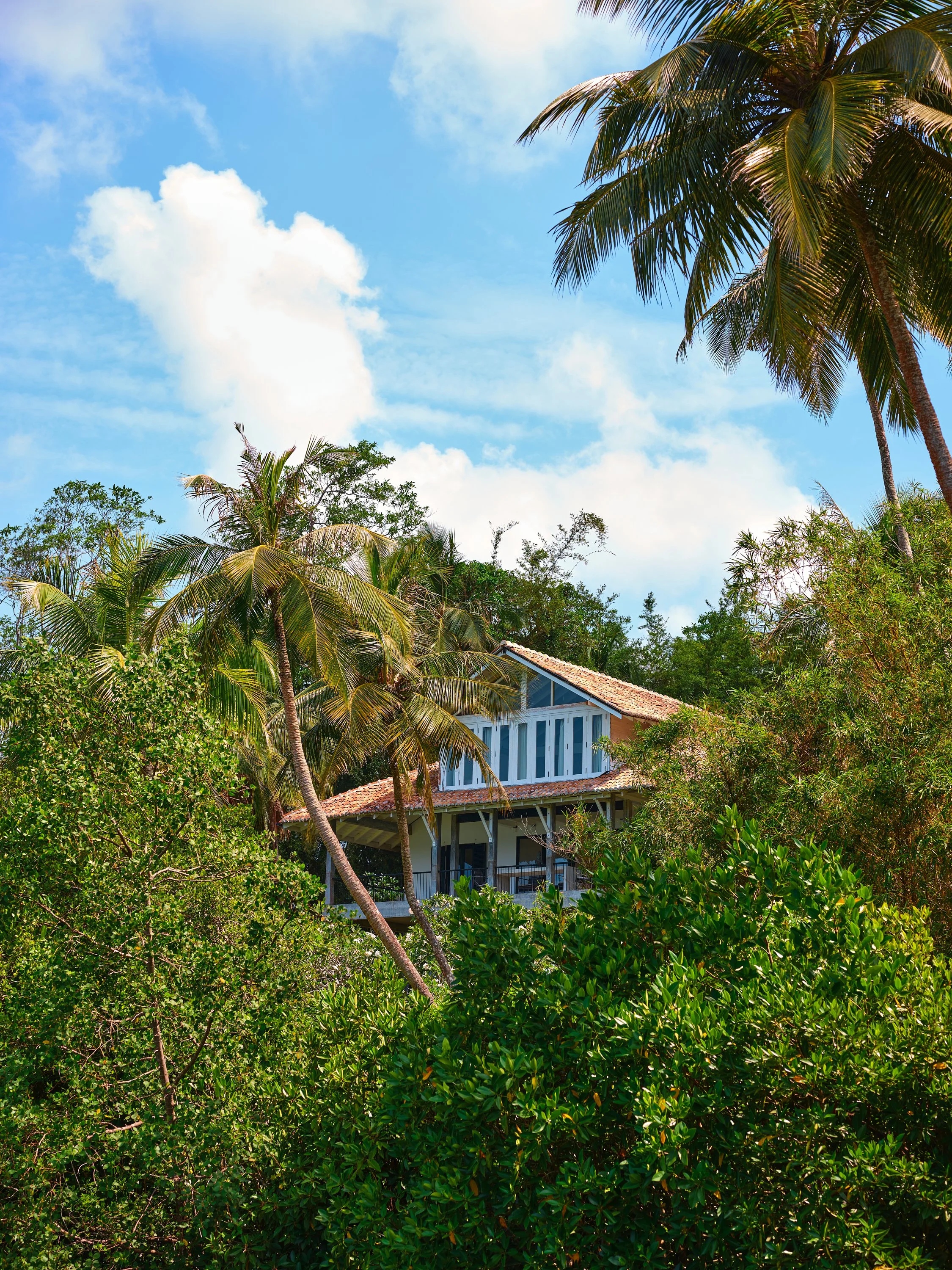A house surrounded by tropical trees and palm trees with a blue sky and clouds in the background.