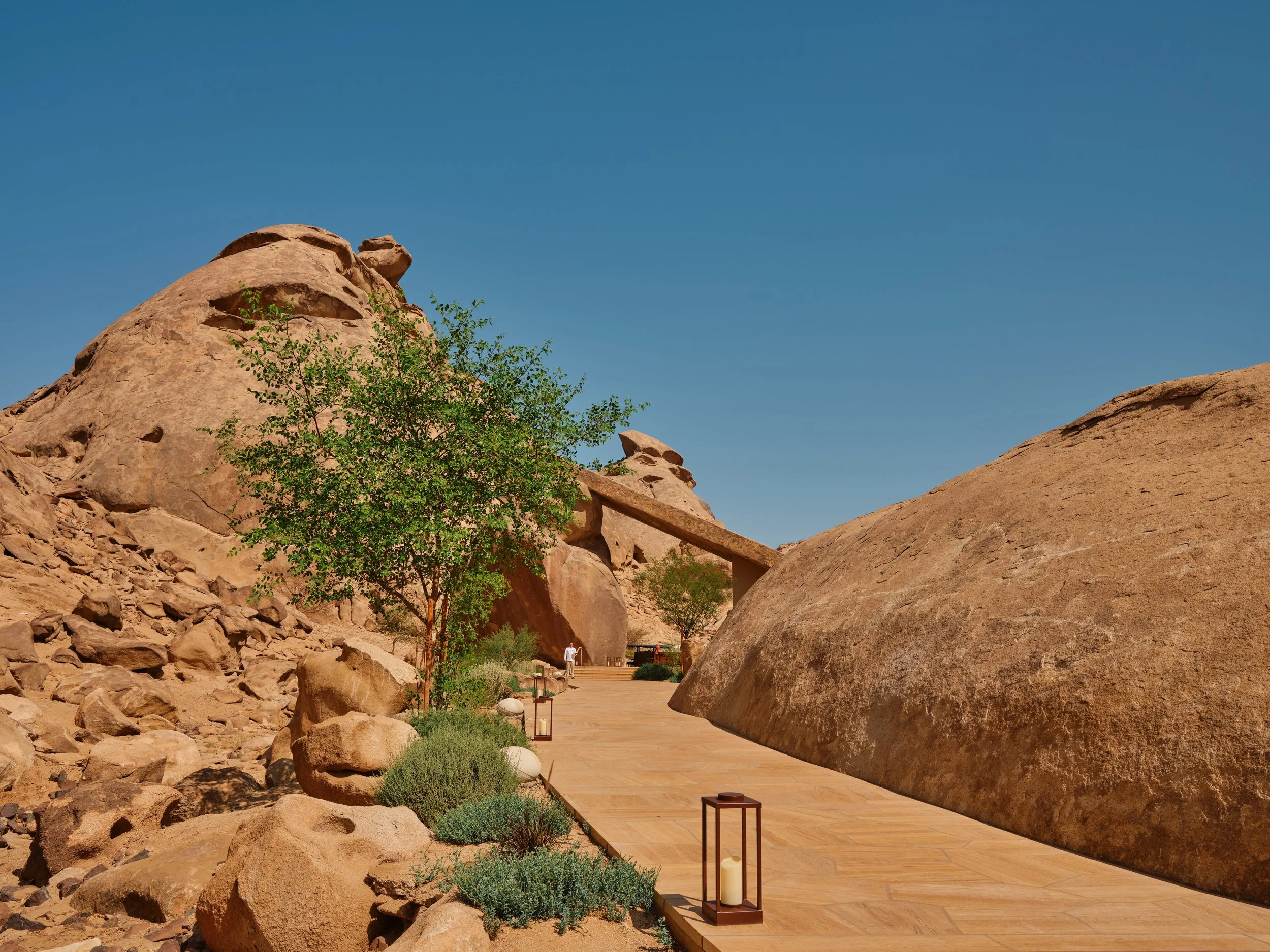 Desert landscape with large rocks, a green tree, and a paved pathway under a clear blue sky.