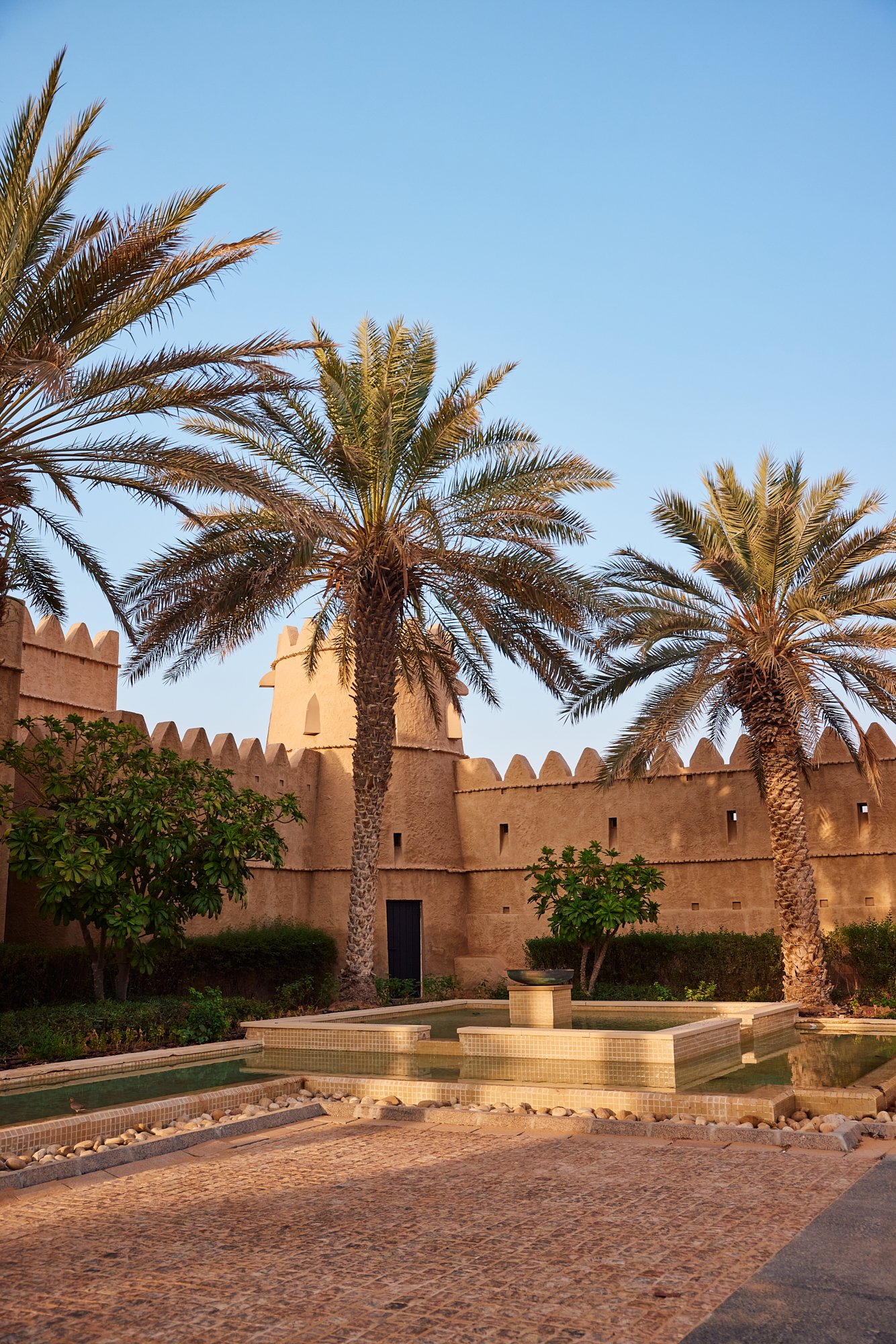 Palm trees near an ancient fort with a water fountain.