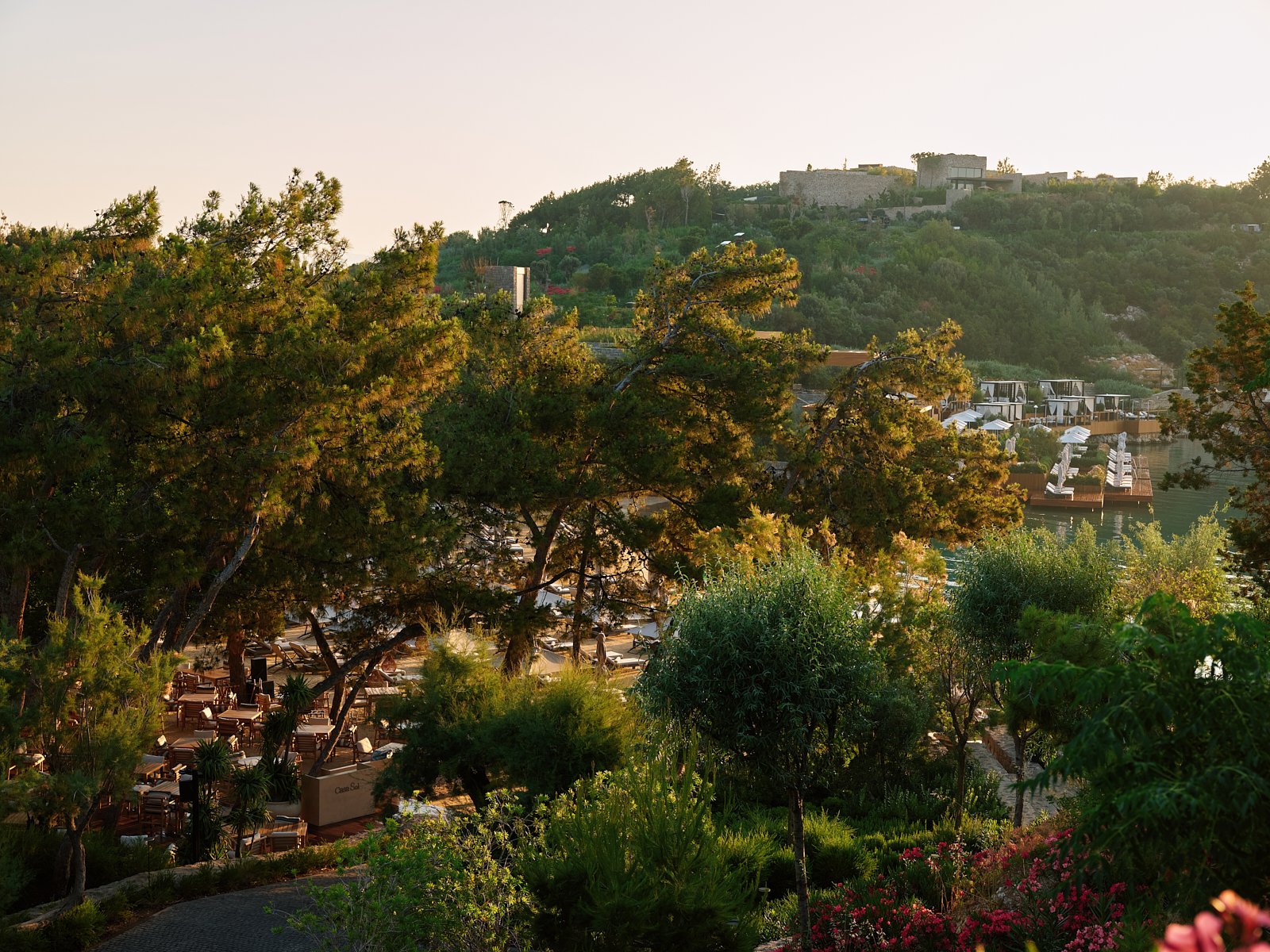 Scenic view of a hillside with lush greenery, trees, and houses, with a marina and boats near the water at sunset.