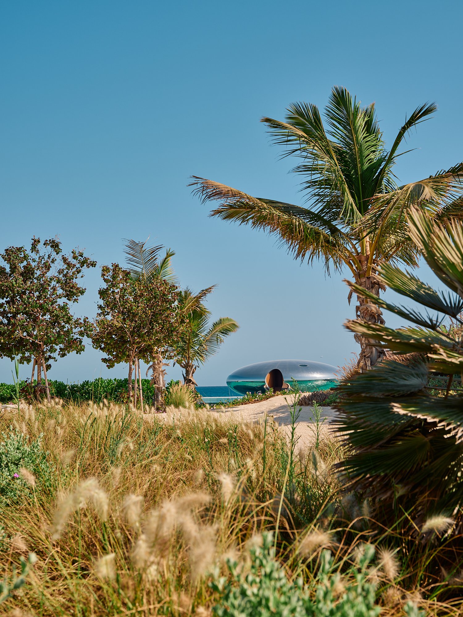 A futuristic silver UFO-shaped building near the beach surrounded by palm trees and grass under a clear blue sky.