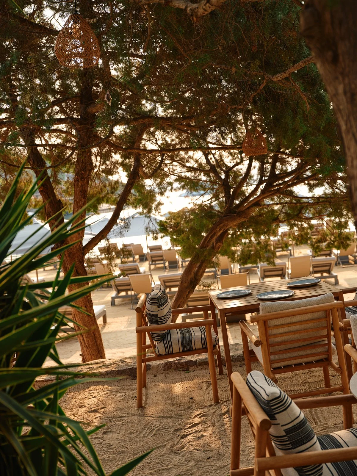 Beachside seating area with wooden chairs and striped cushions under a large tree with hanging wicker lamps, overlooking a row of lounge chairs and a body of water in the background.