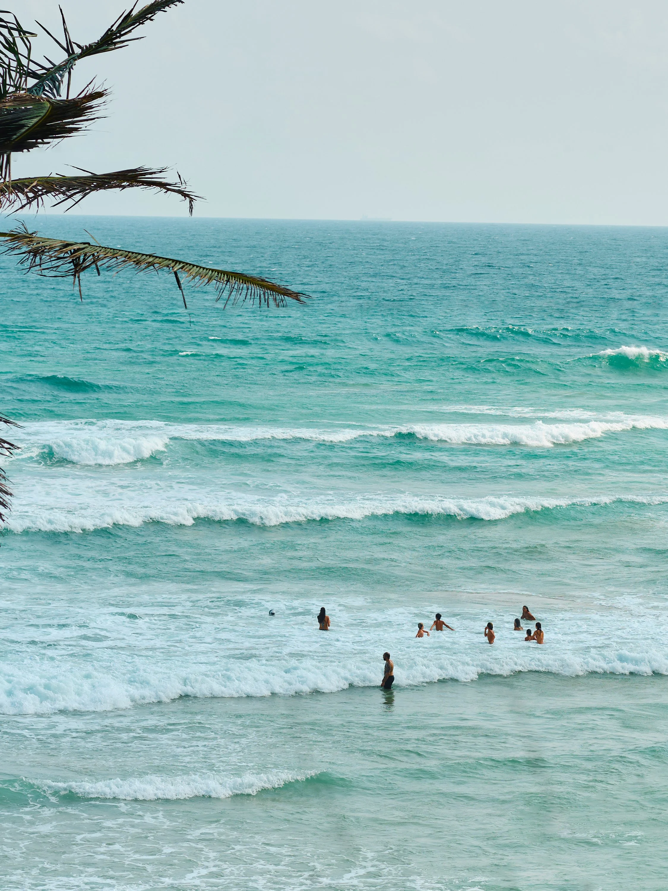 People swimming and playing in the ocean near the shore on a sunny day, with a palm tree branch in the foreground.