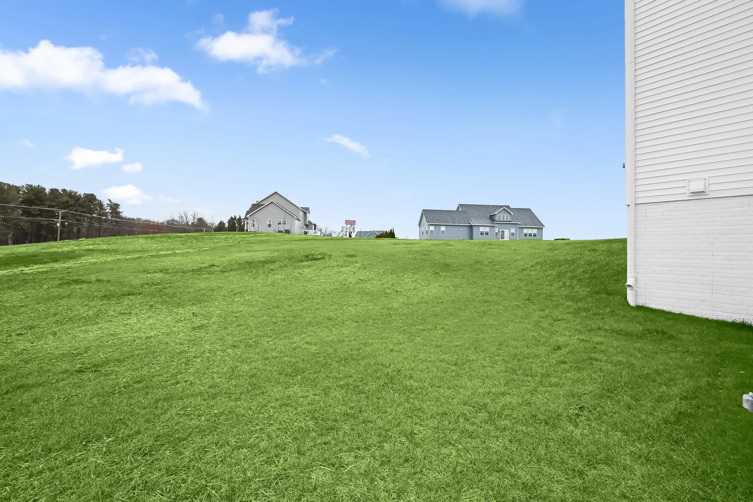 48-Rear Yard.jpg