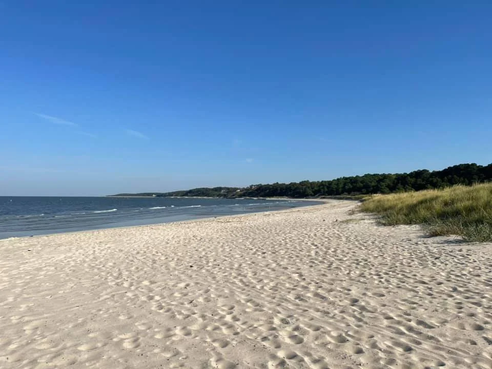 Empty sandy beach with small waves, grassy dunes, and forested hills under a clear blue sky.