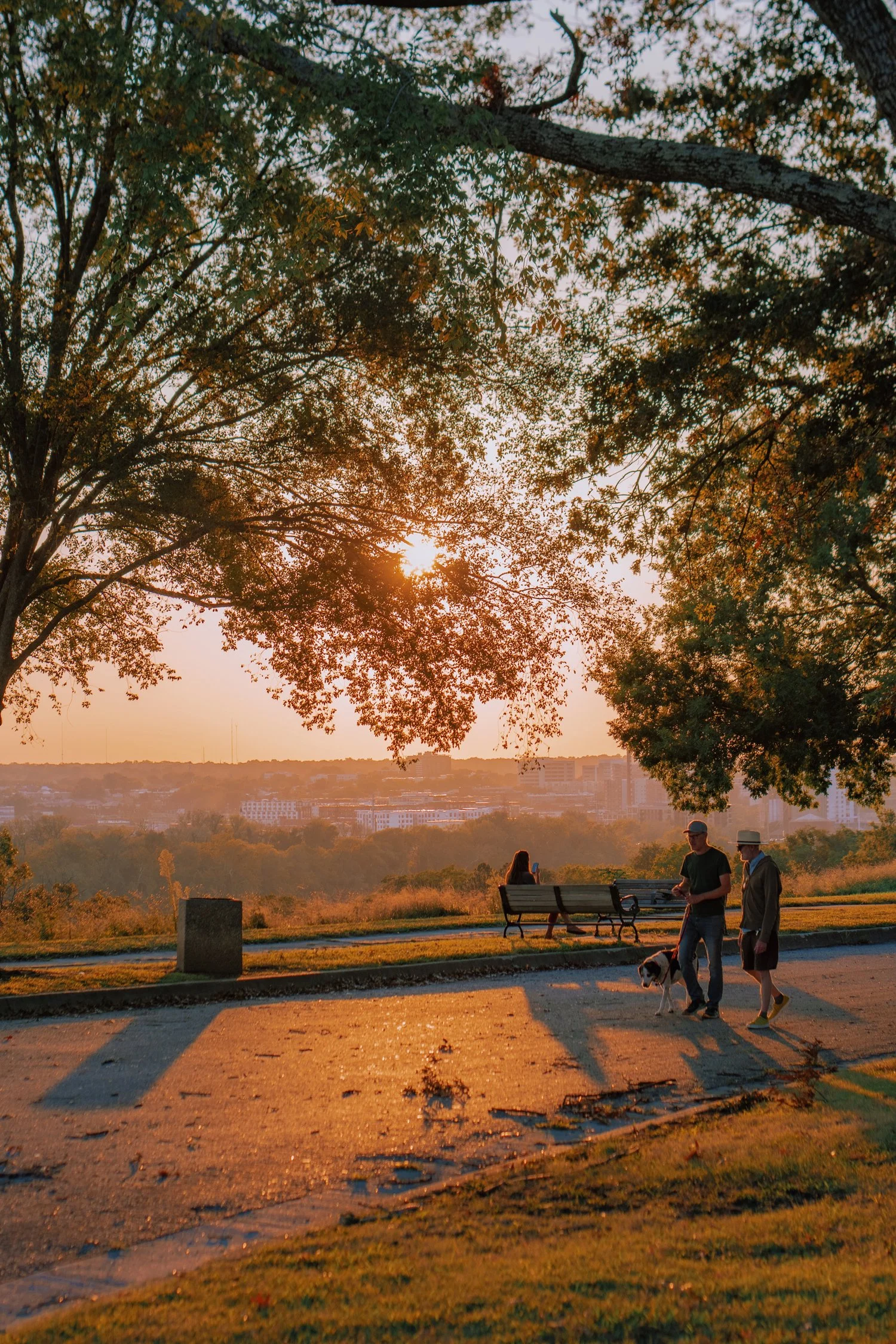 people in a hilltop park at sunset