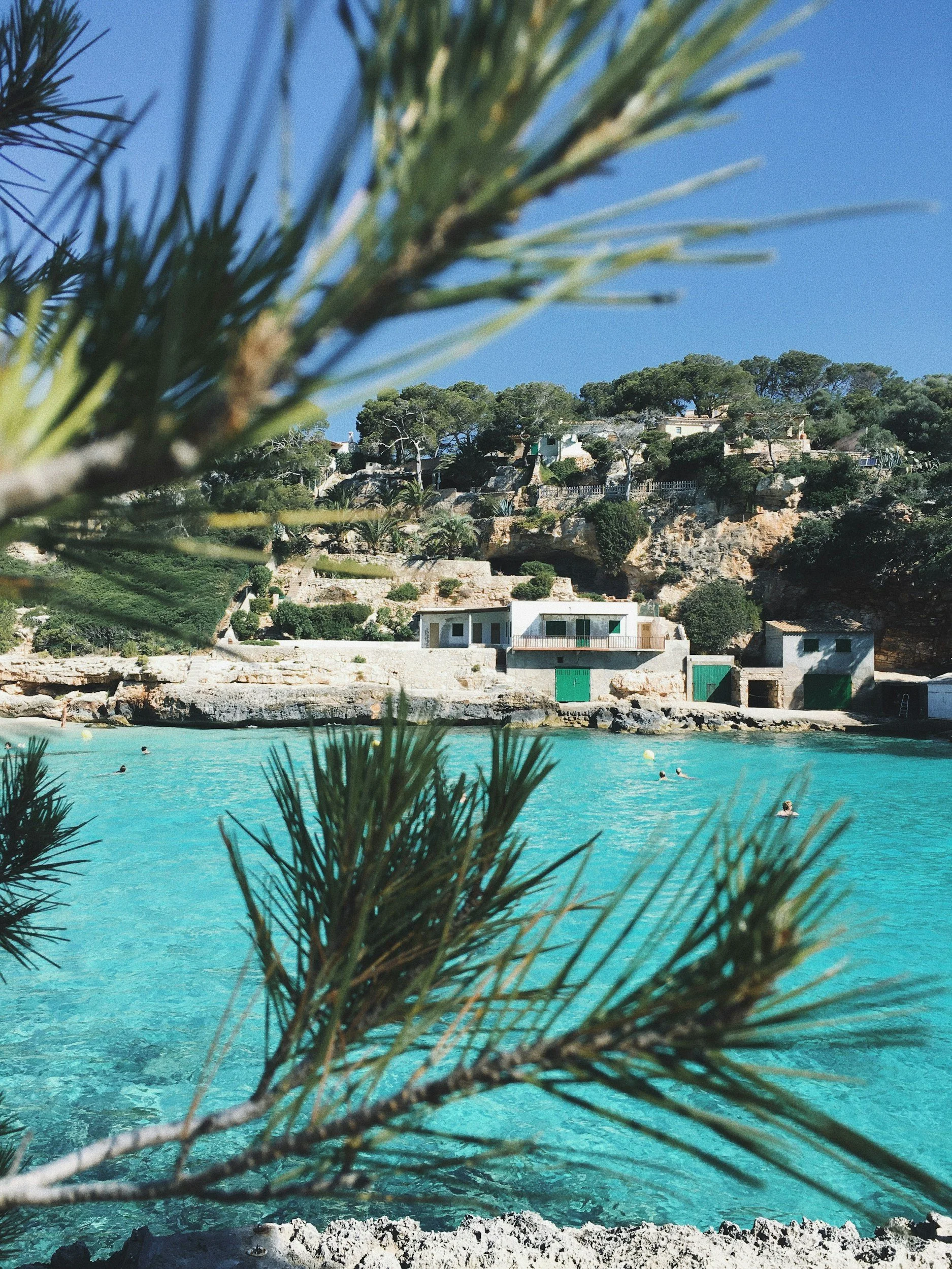 A coastal scene with turquoise water, swimmers, and buildings on a rocky hillside surrounded by trees.