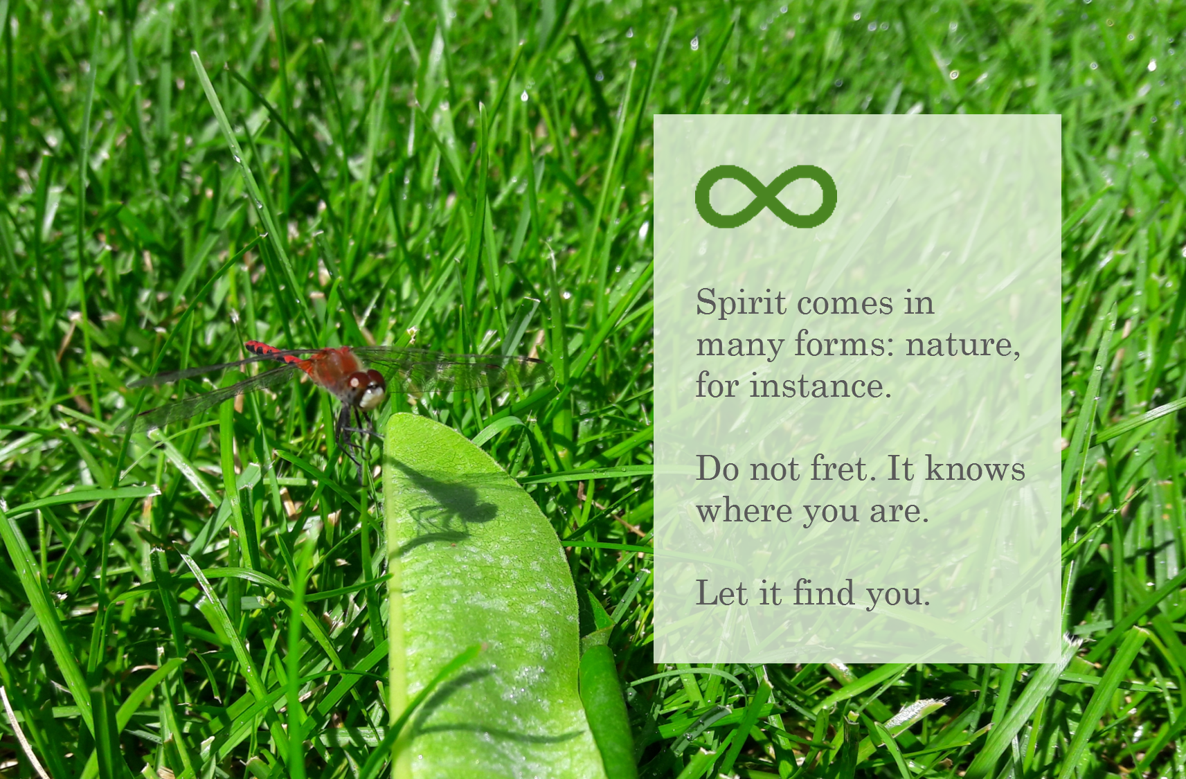 SpiritComesInManyForms.png