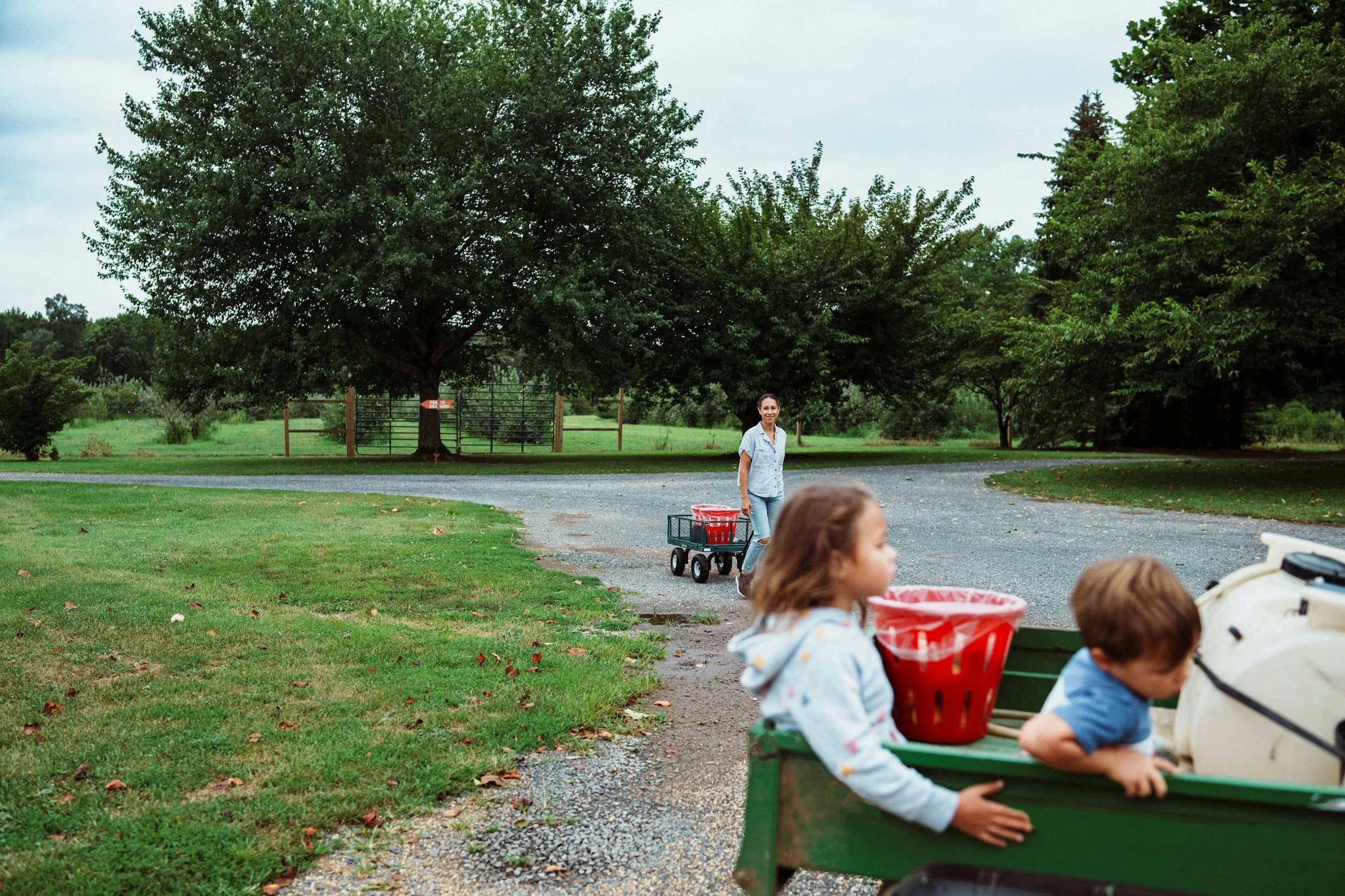 Children riding in a green wagon with red bins, while a woman standing nearby in a park setting with trees and a gravel pathway.