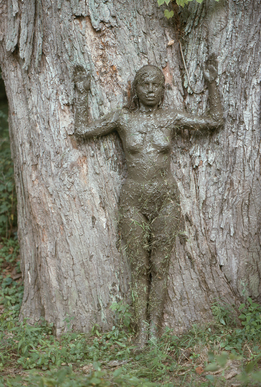IMG_1249.PNG