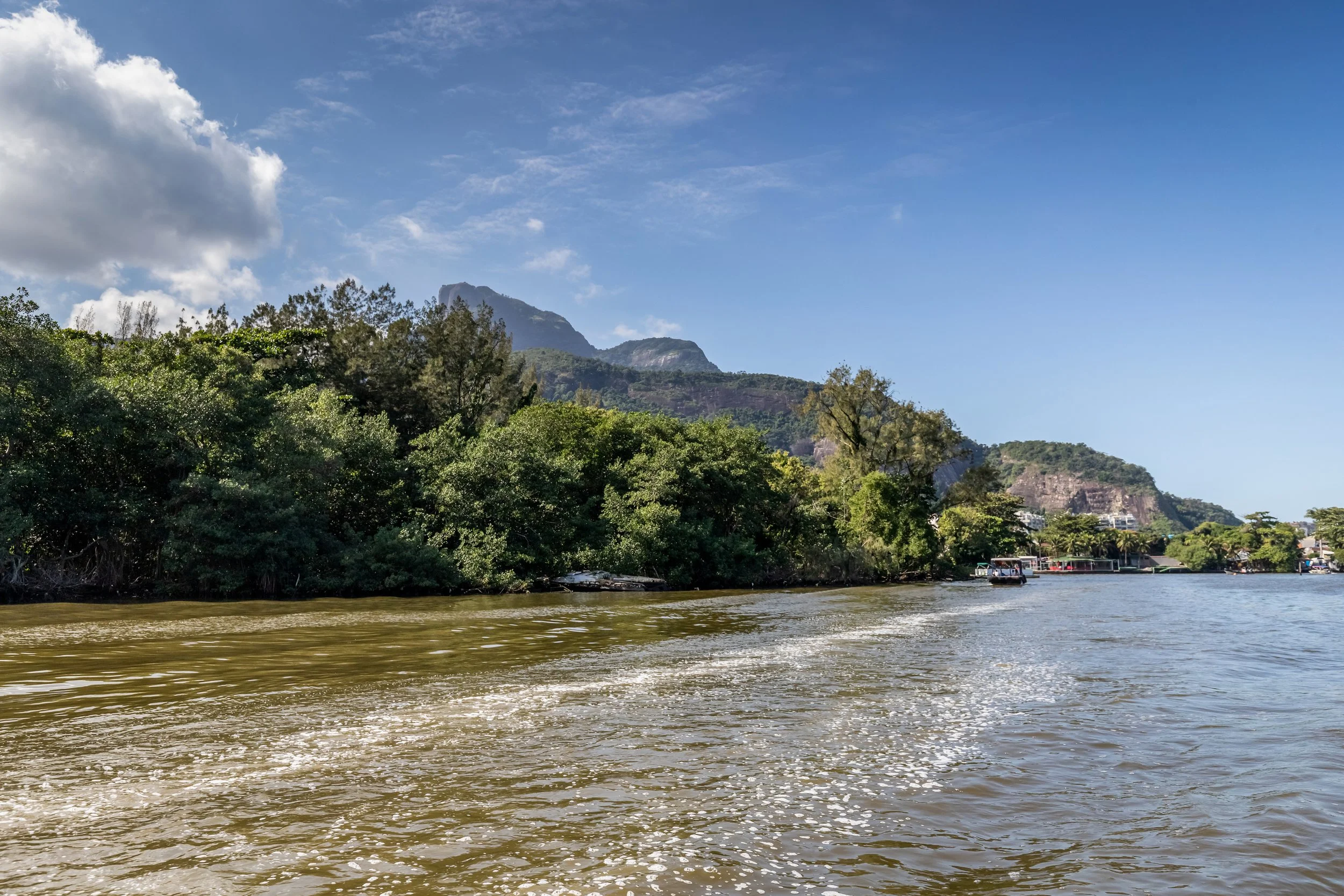 View of a river with a mountain and lush trees in the background, blue sky with scattered clouds.