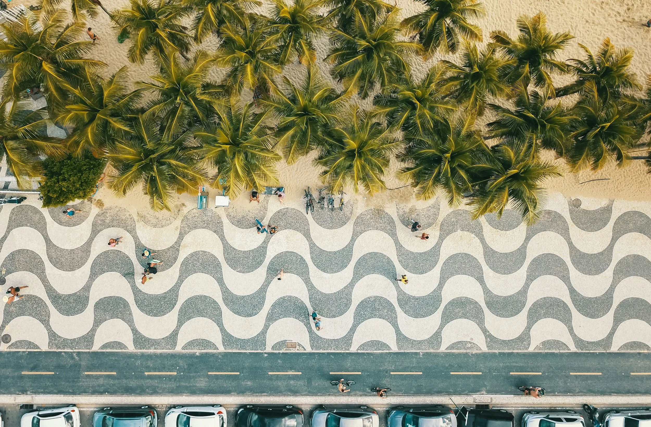 An aerial view of a beach sidewalk with a group of palm trees in the center, surrounded by people walking or cycling, with cars parked at the bottom of the image and the sandy beach and ocean beyond.