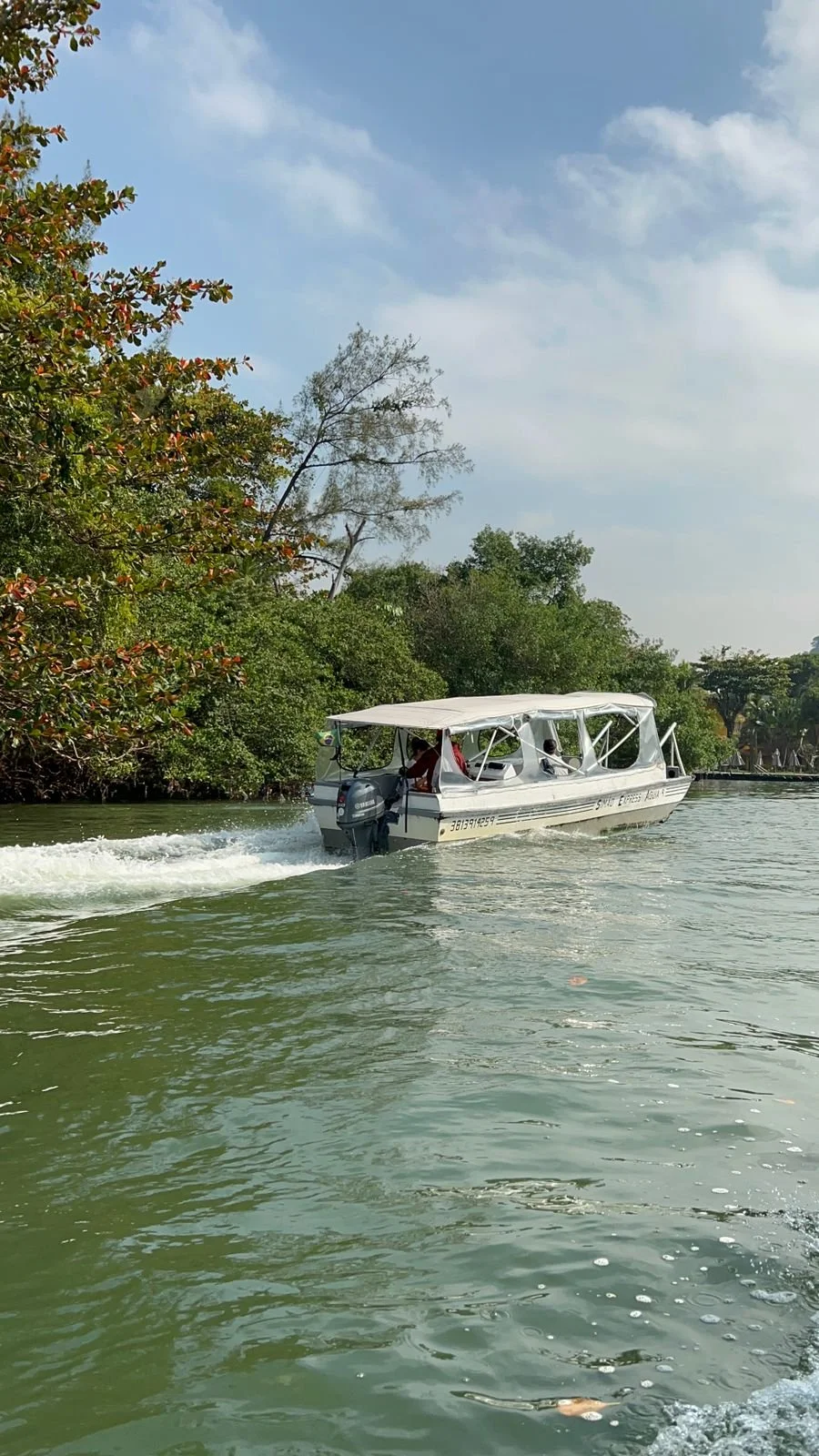 A small white motorboat with a canopy moving through a green river, bordered by trees, under a partly cloudy sky.
