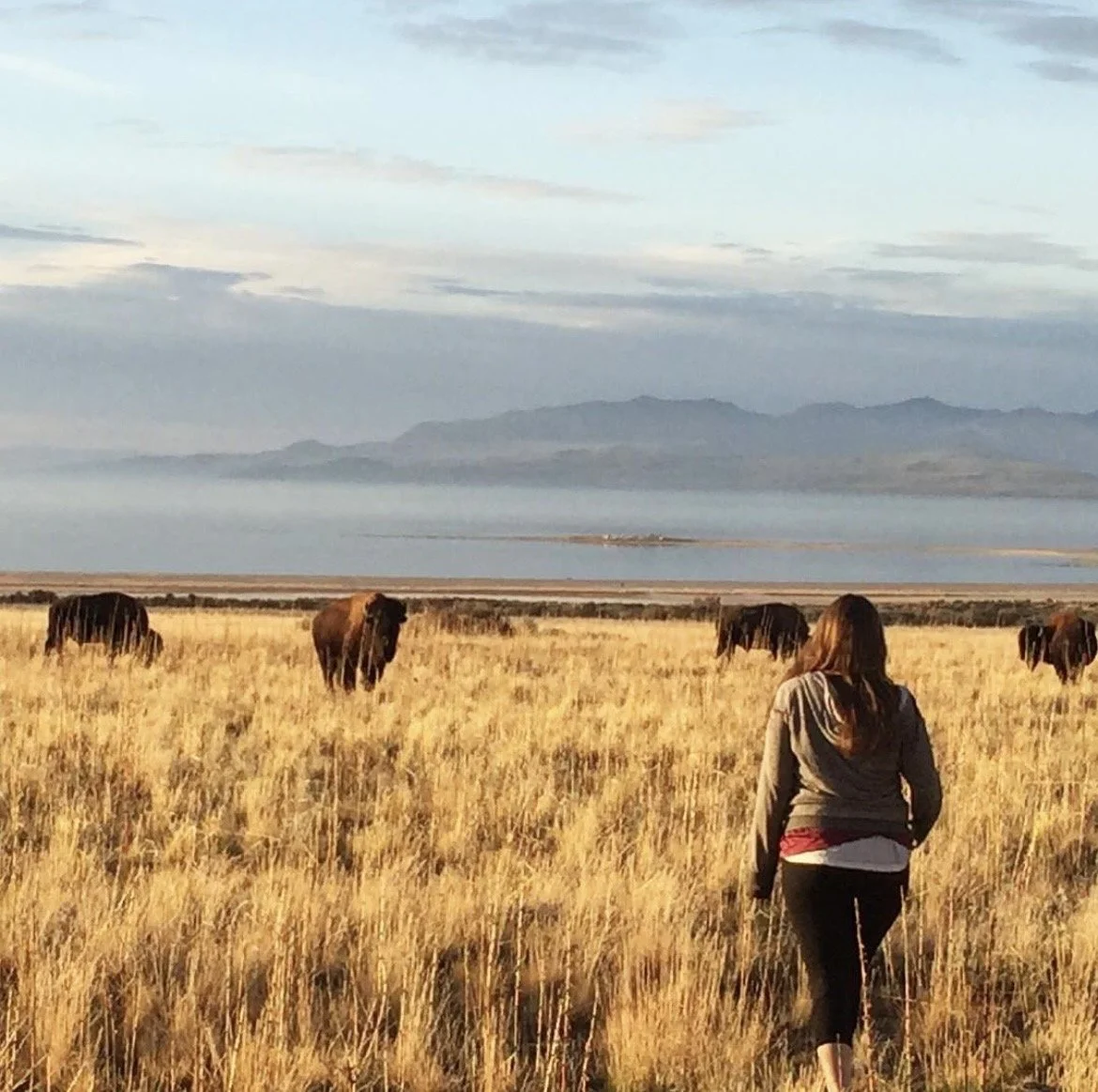 Lora Grieco walking through a golden field near grazing bison at Antelope Island in Utah.
