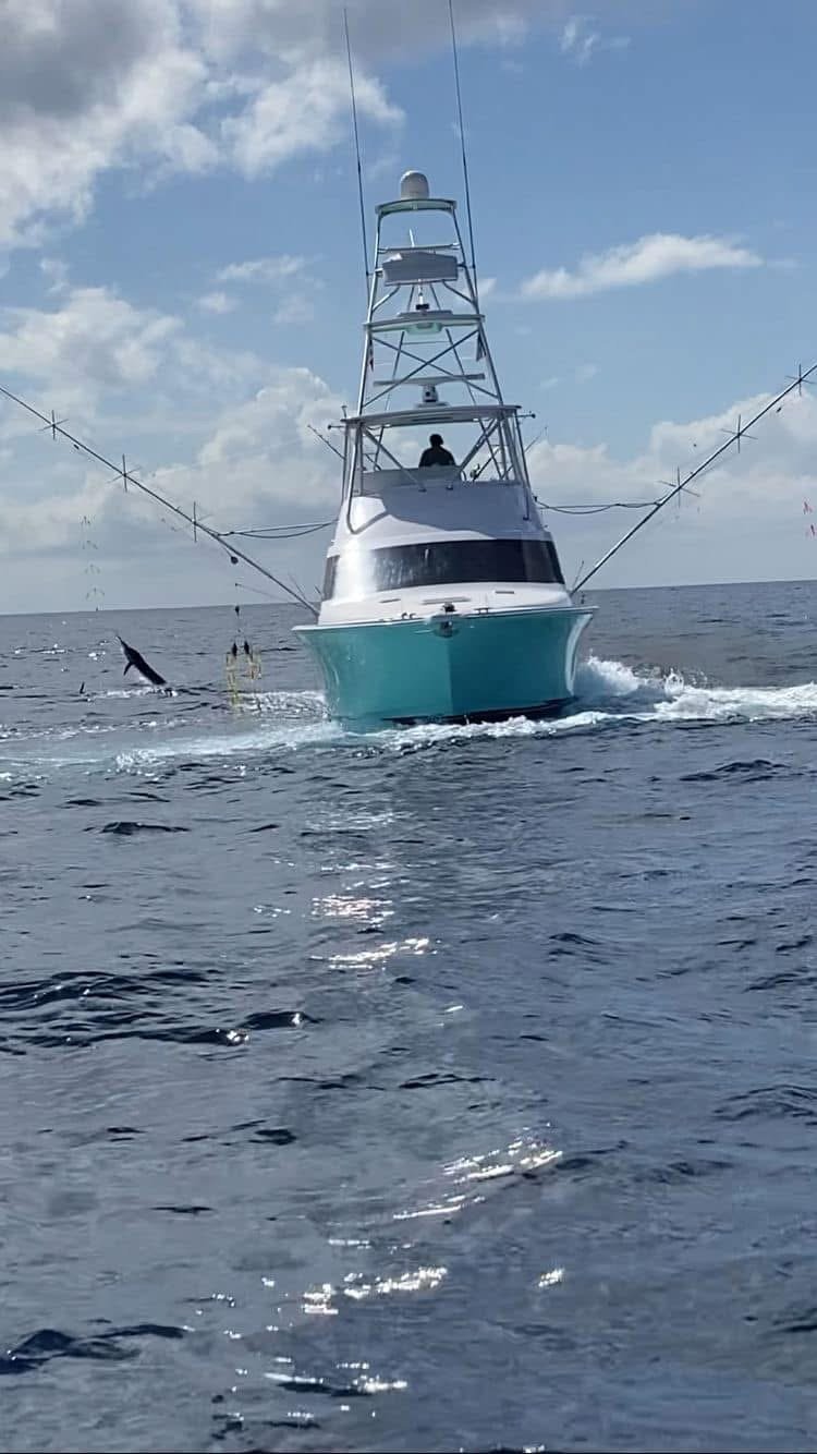 Marlin jumping while offshore fishing in Cabo