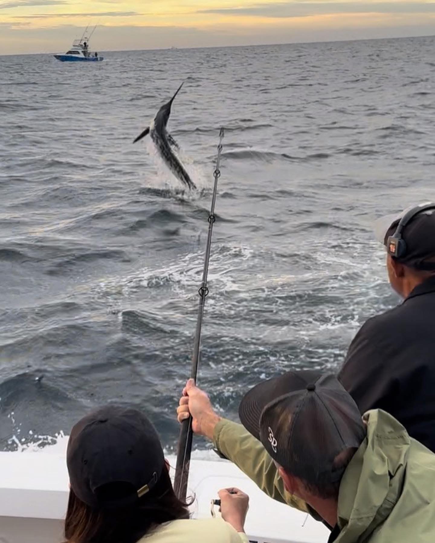 Marlin jumping while female angler reels it in on the Reel Cast in Cabo
