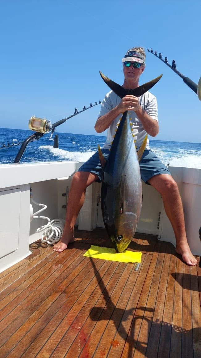 Yellowfin tuna caught offshore in Cabo