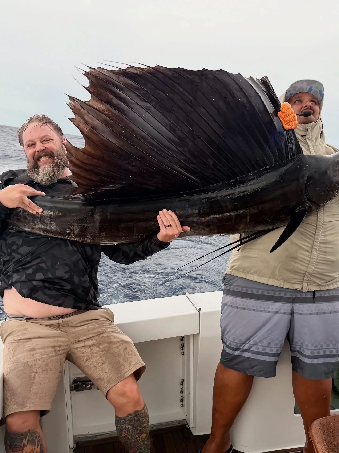 Sailfish caught while offshore fishing in Cabo on the Reel Cast