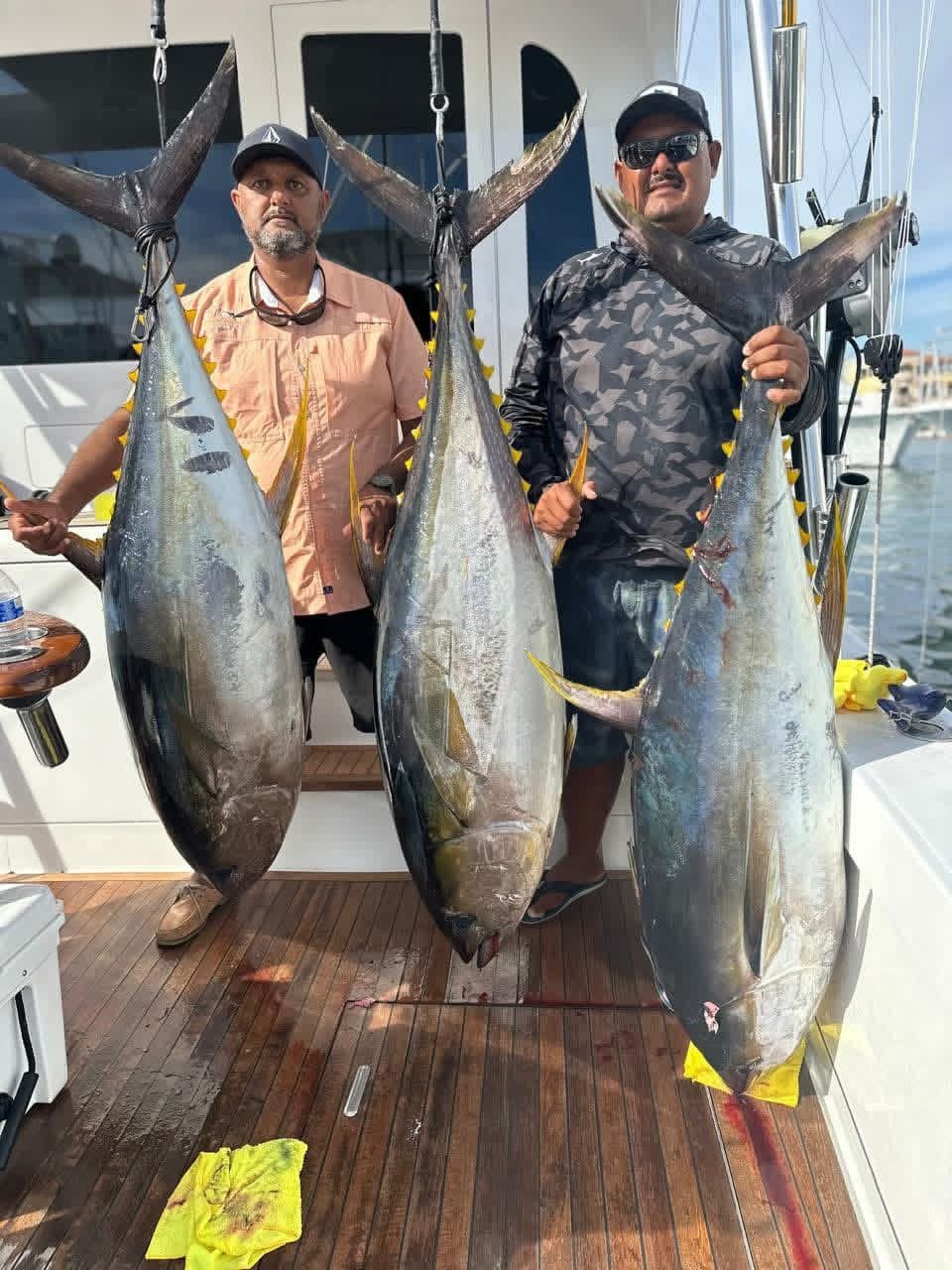 Two anglers on a sport fishing boat with three large yellowfin tuna caught during an offshore deep sea fishing trip in Cabo San Lucas