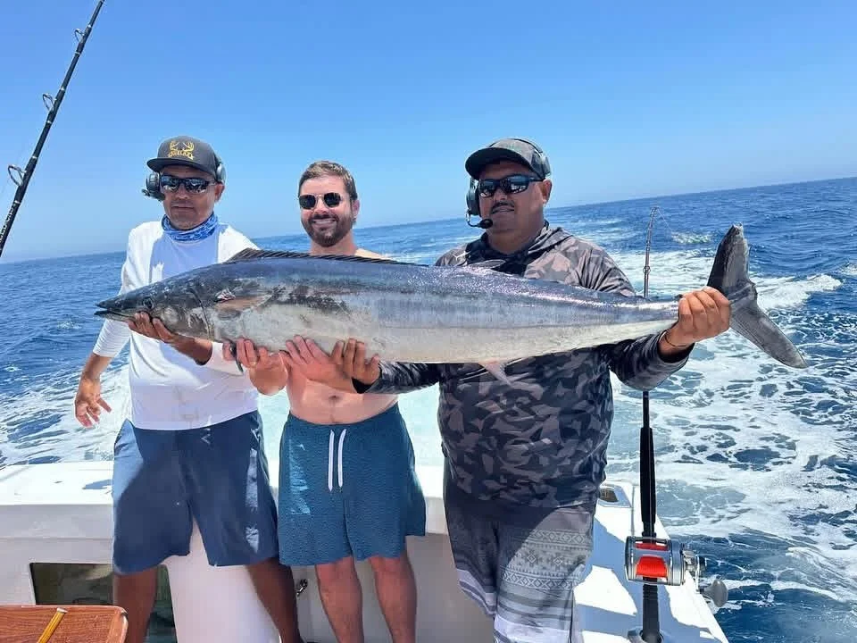 Big wahoo caught offshore fishing in Cabo 
