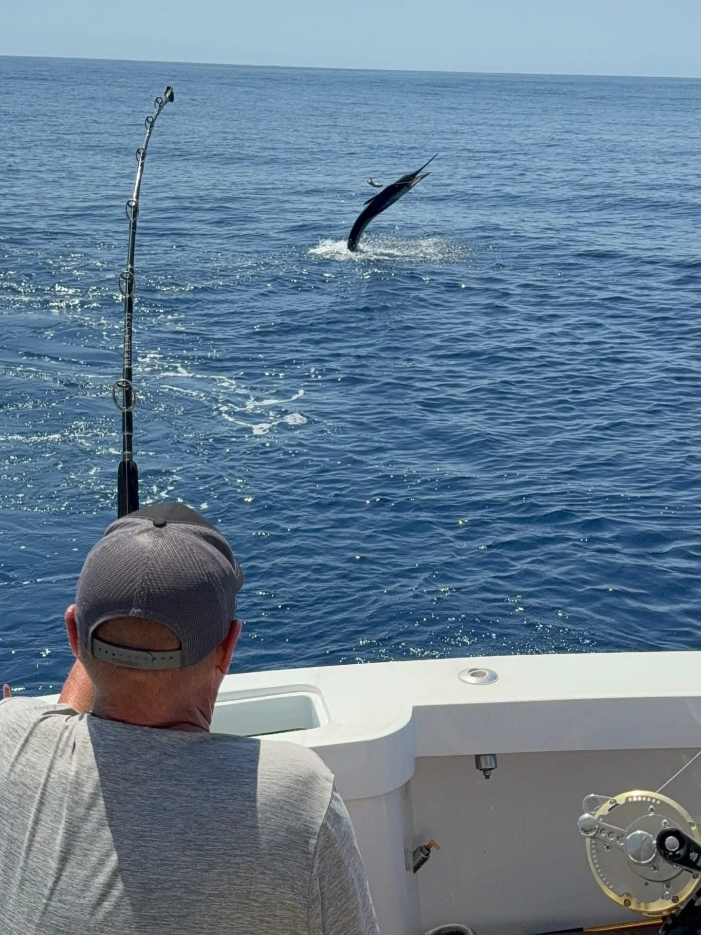 Marlin jumping and putting on a show offshore in Cabo San Lucas