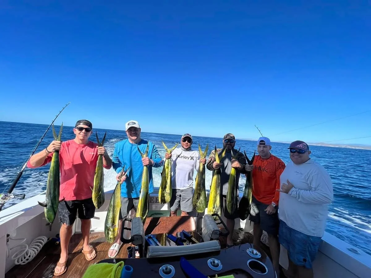 Group of anglers show off their catch of multiple dorado in Cabo