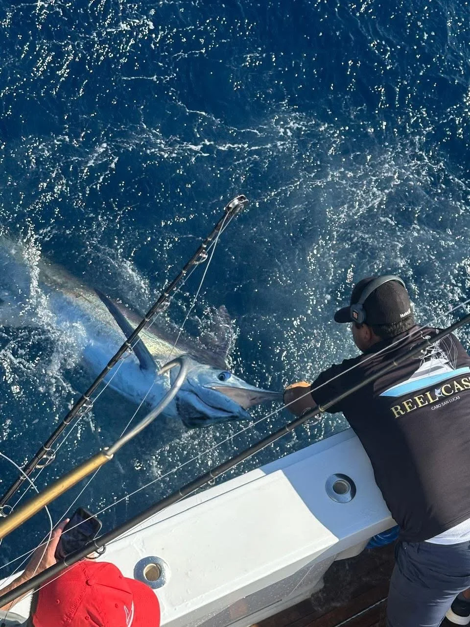Nice marlin caught and released offshore on the Reel Cast in Cabo San Lucas
