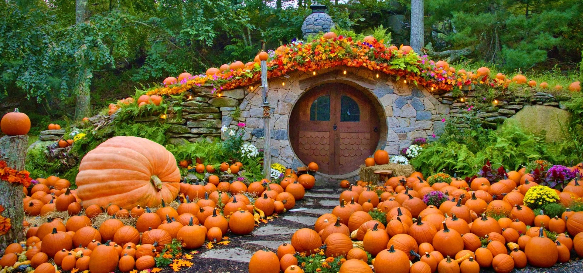 An autumn scene of the Hobbit House surrounded by pumpkins, gourds, and colorful fall flowers in a forest setting.