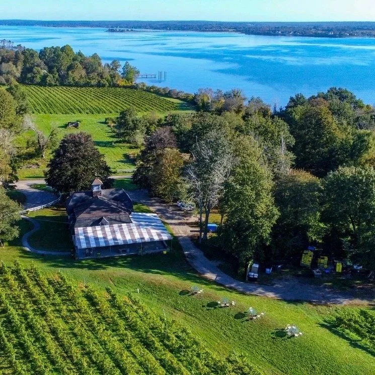 A scenic aerial view of a large body of water beyond a lush green landscape with a vineyard, trees, a house, and a garden path.