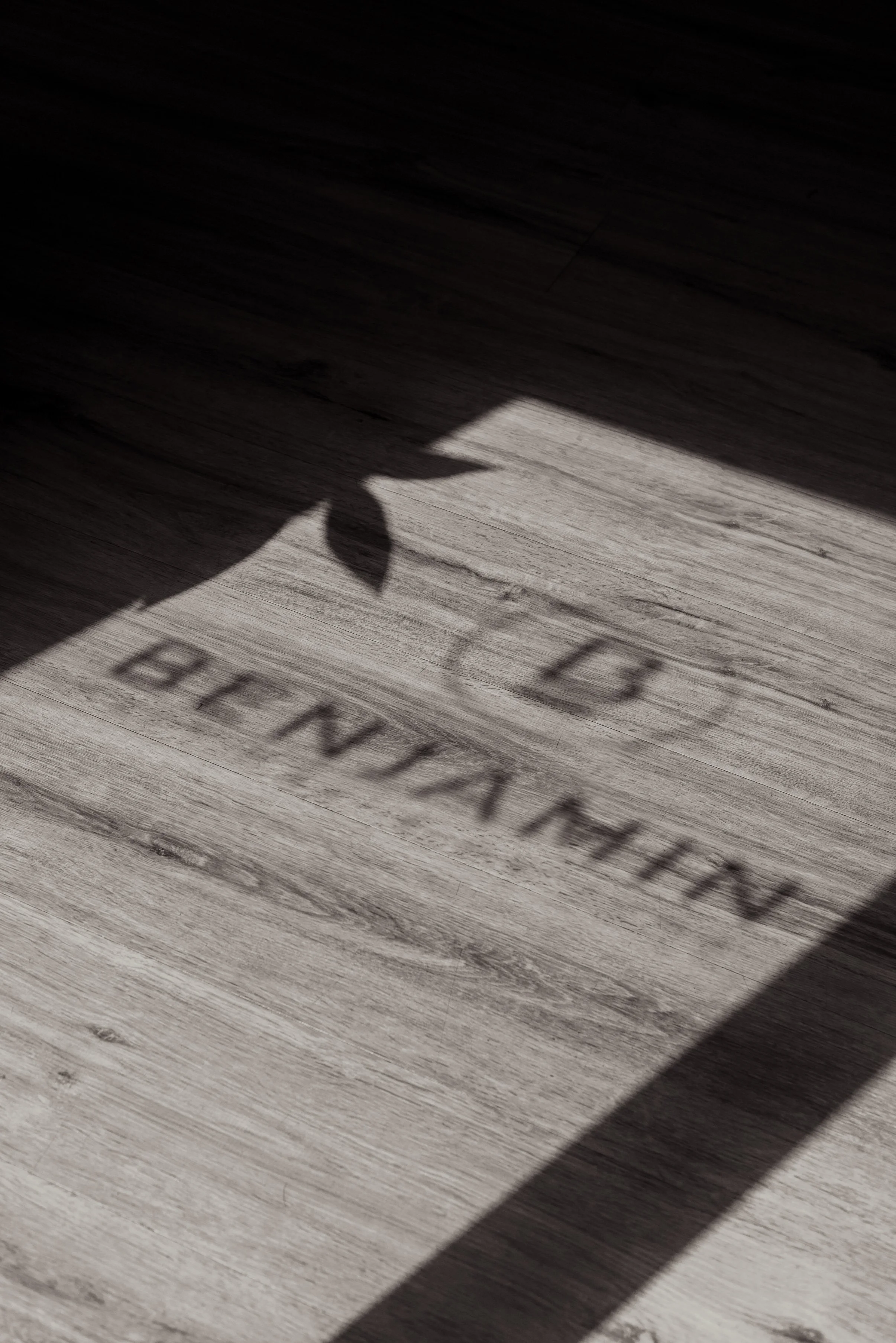 Schatten eines Pflanzenblattes und des Logos Benjamin- ein raum für Dich  auf einem grauen Holzboden.