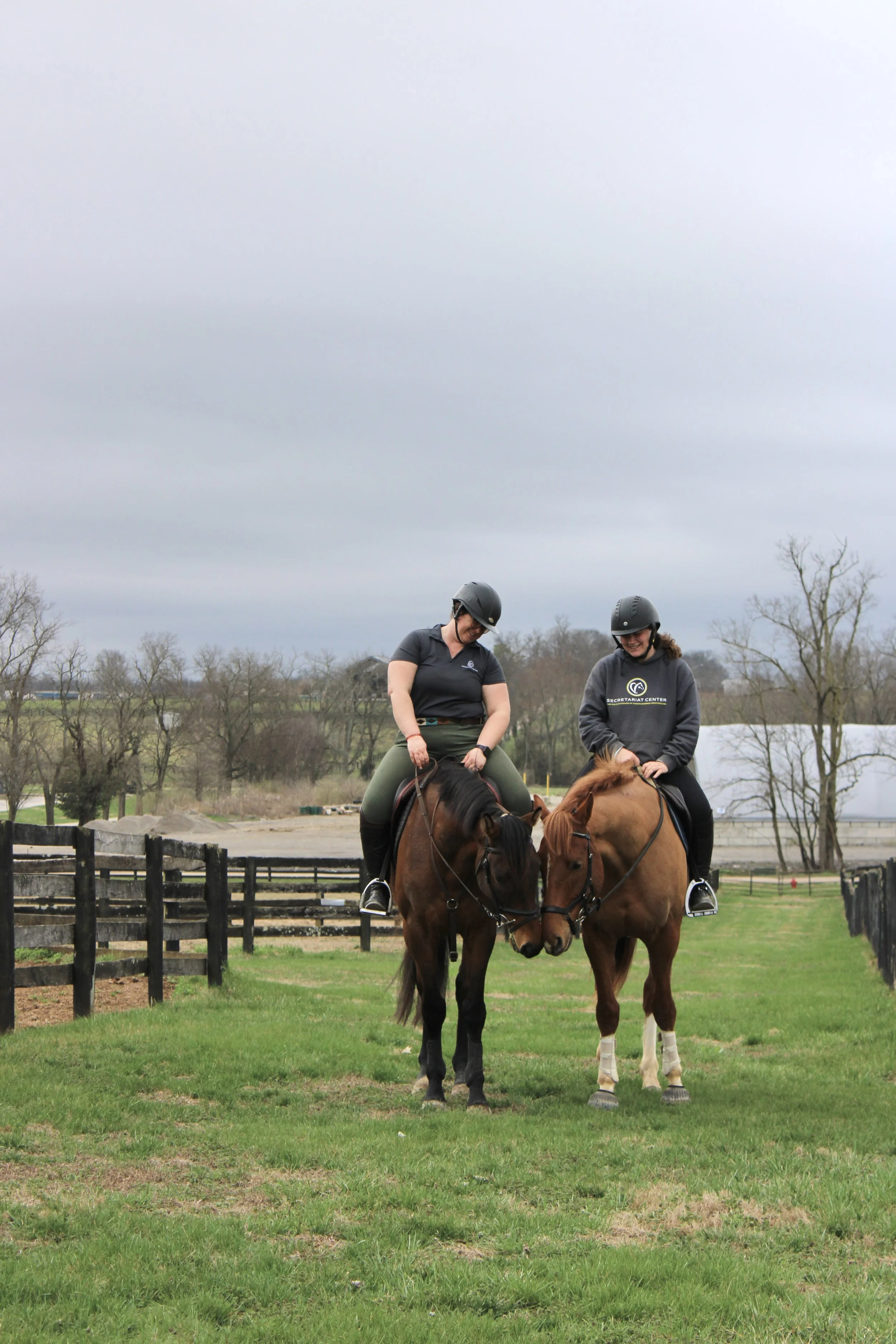 Secretariat Programs About | Discover Expert Equine Care — Contact Us Today — Secretariat ...