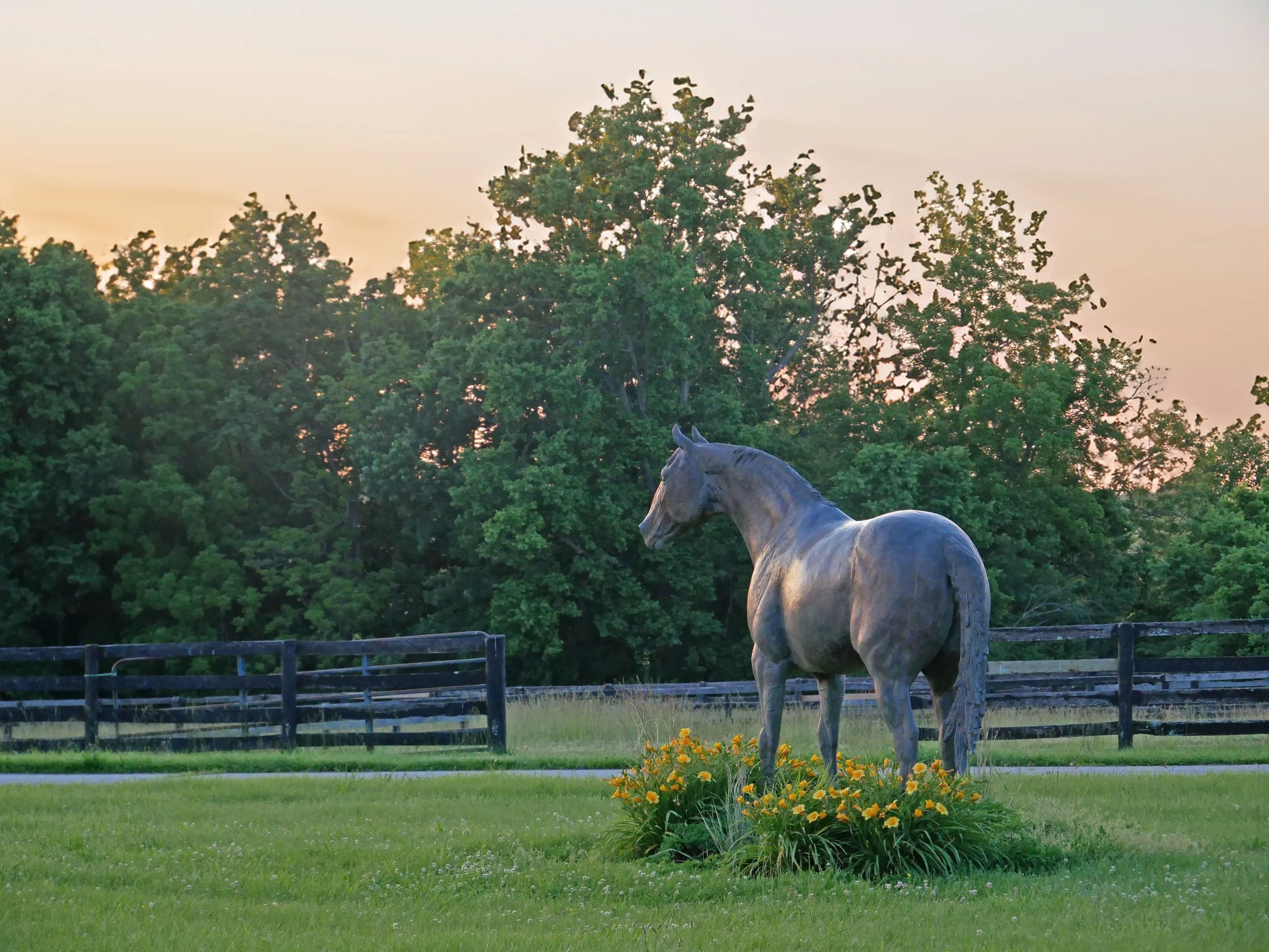 Secretariat Programs Secretariat Center Membership Program | Join the Horse Training ...
