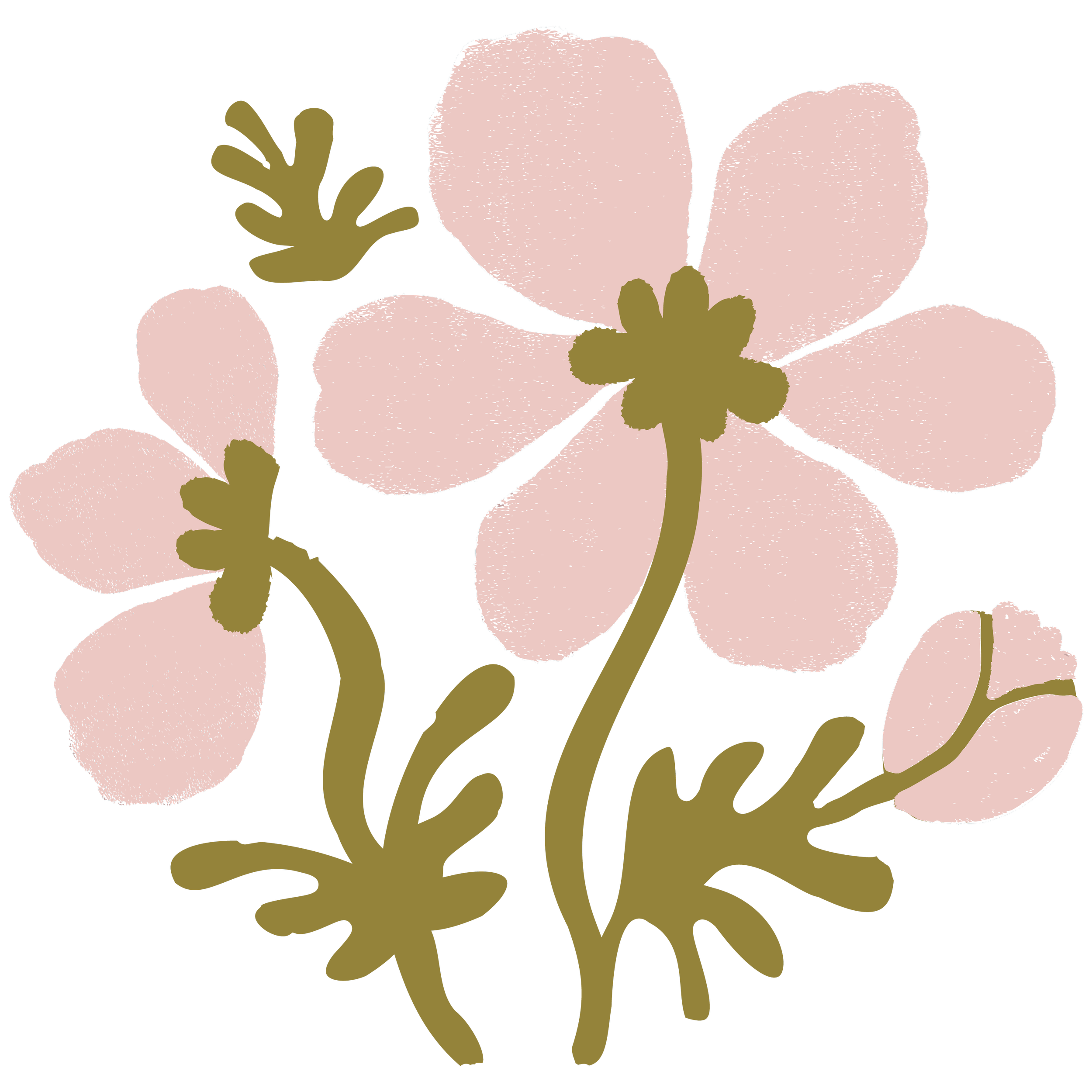 Stylized illustration of pink flowers with olive green stems and leaves on a black background.