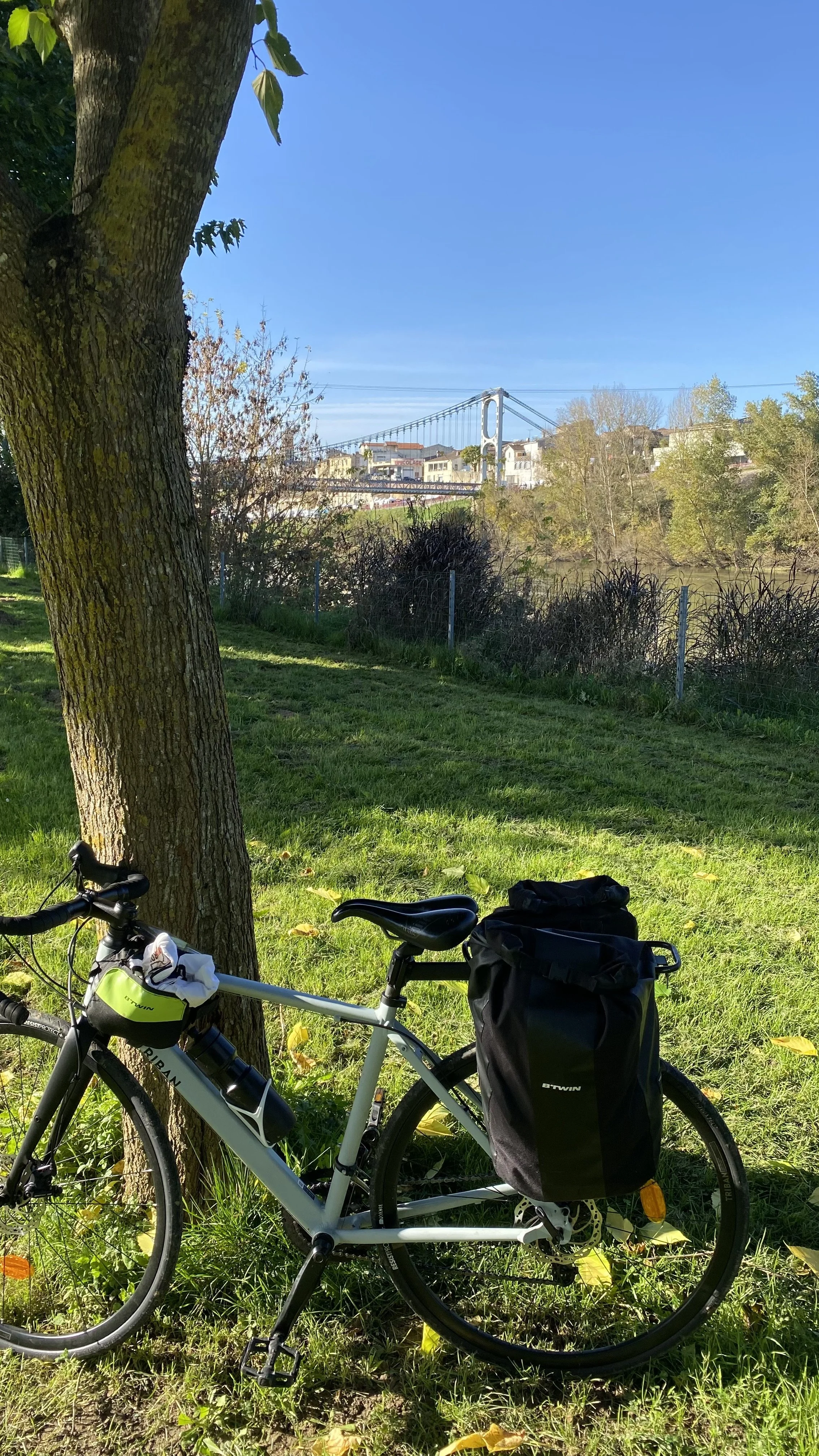 Vélo de randonnée blanc avec sacoches noires garé contre un arbre dans un parc près d'une rivière, avec un pont suspendu en arrière-plan et des bâtiments résidentiels à l'horizon, par une journée ensoleillée.