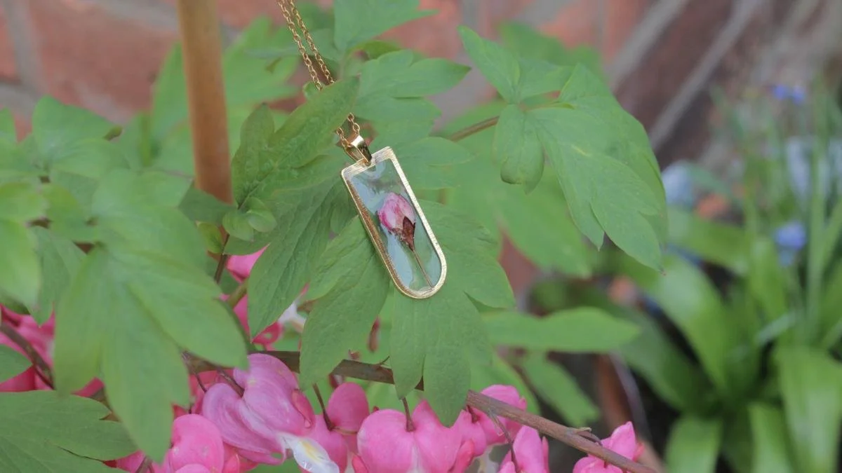 MW Wildflower Meadow (13).jpg