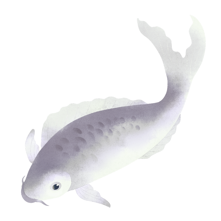 Illustration of a white koi fish with black eyes and some shading, facing downward.